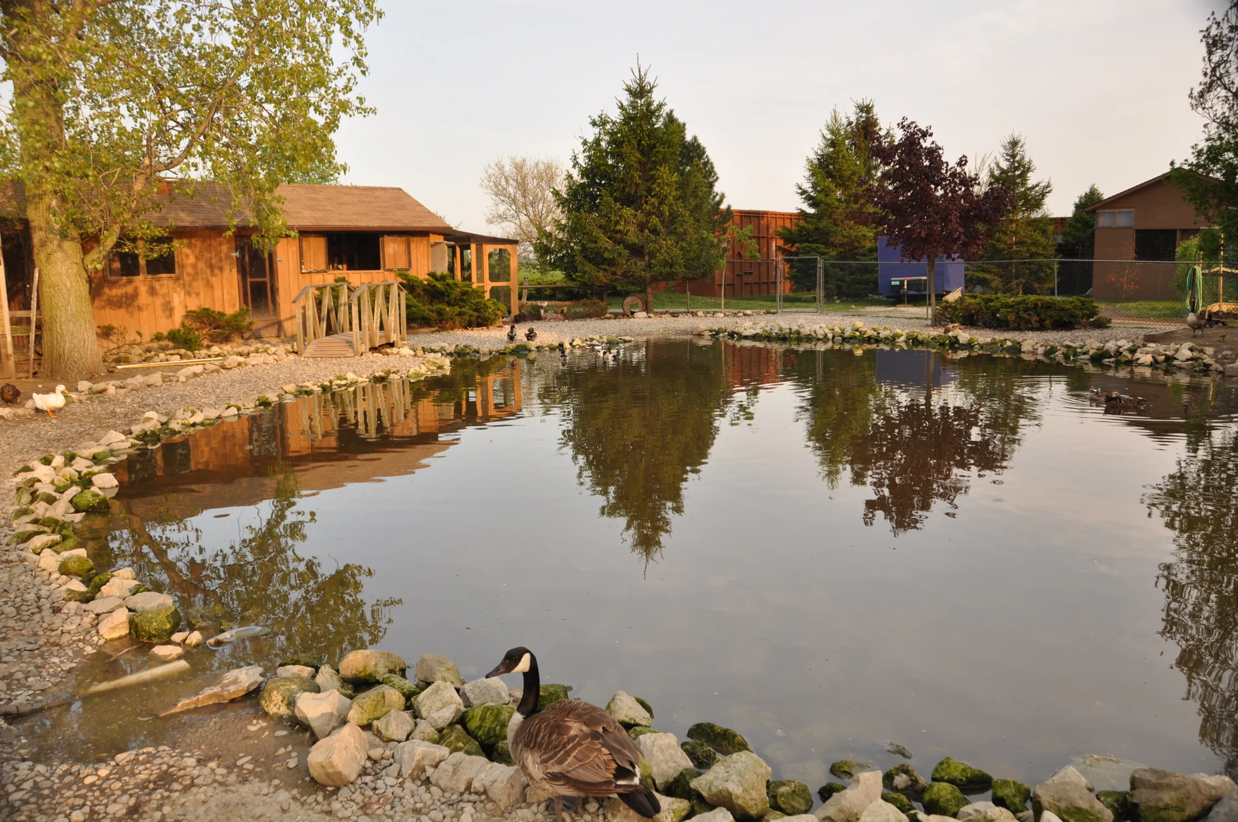 Wings Rehabilitation Centre