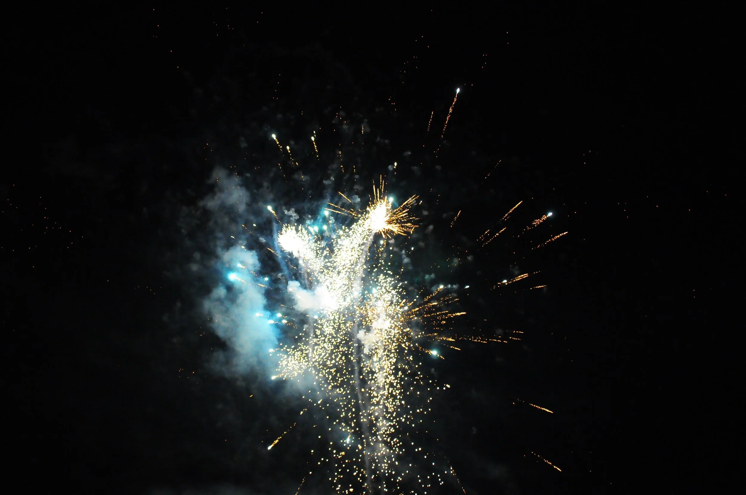 fireworks 2020-0859.jpeg
