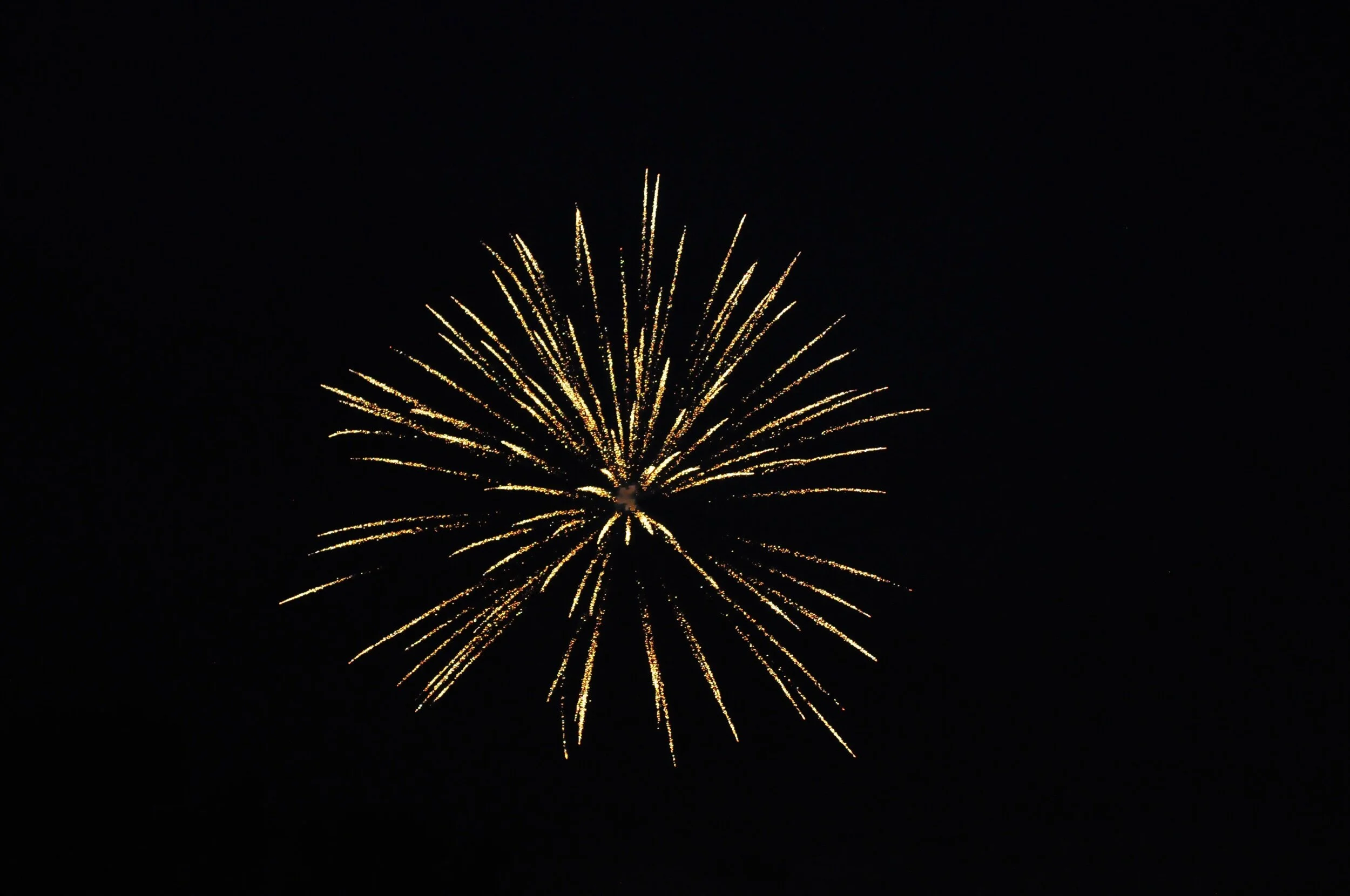 fireworks 2020-0774.jpeg