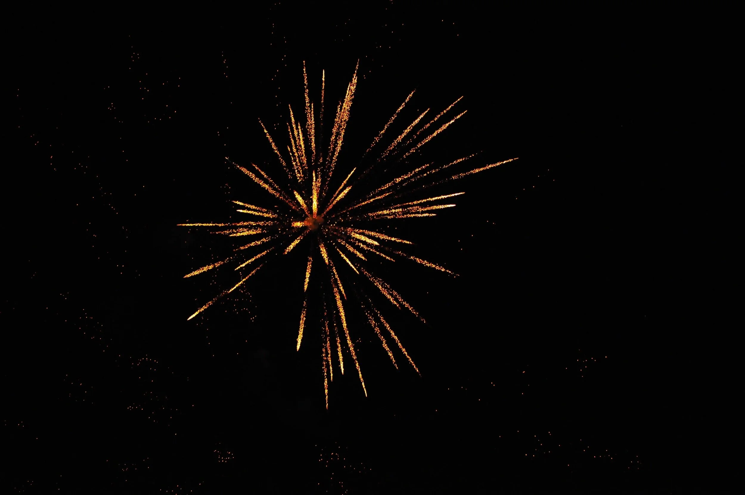 fireworks 2020-0820.jpeg