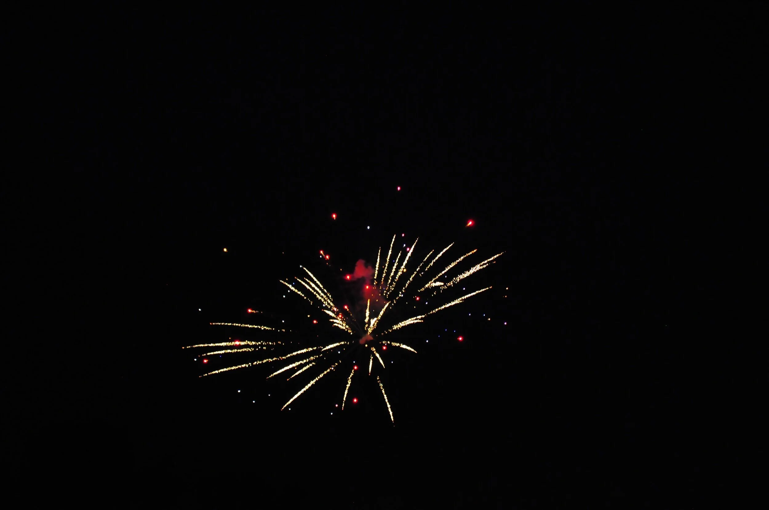 fireworks 2020-0791.jpeg