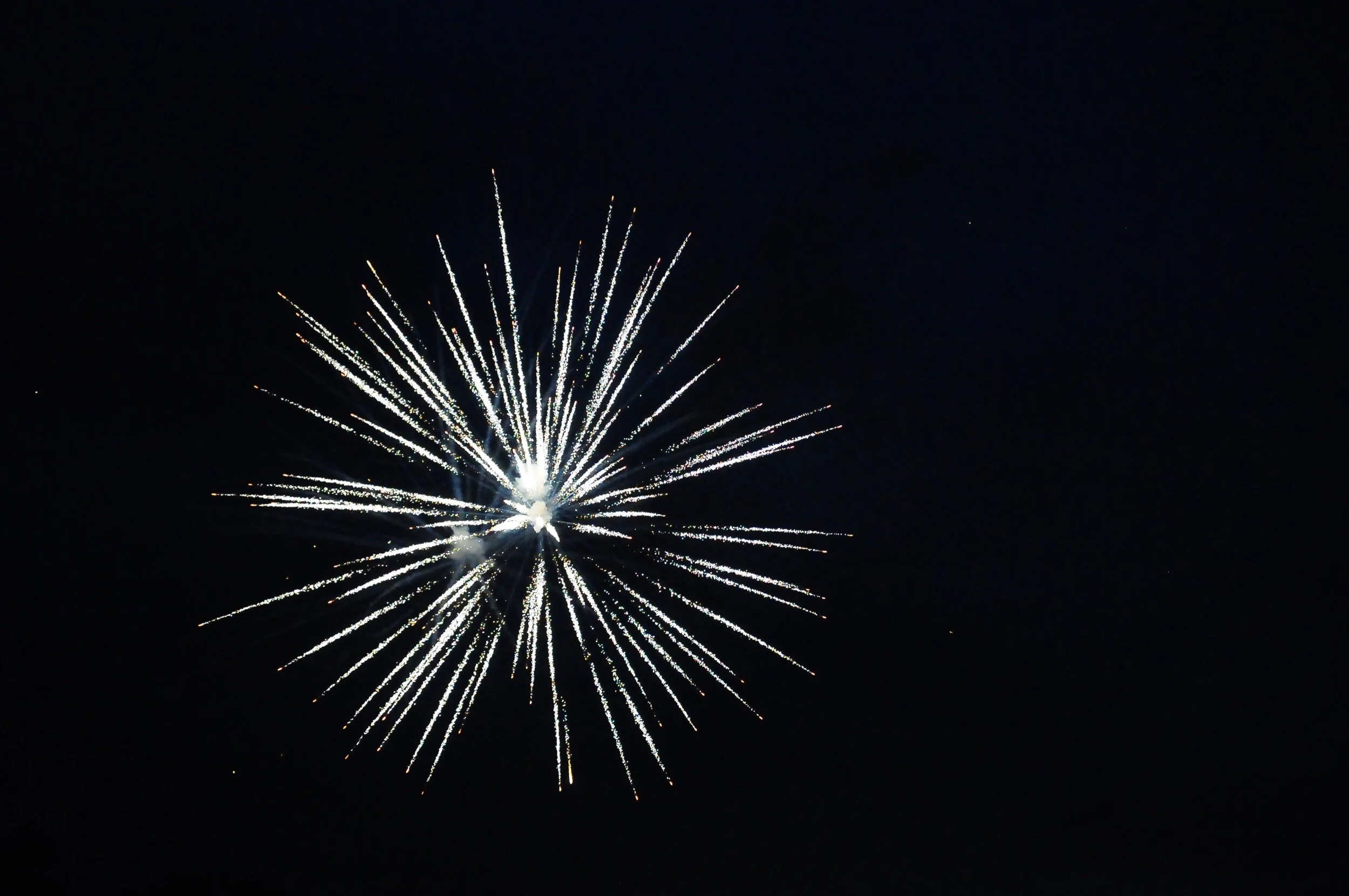 fireworks 2020-0748.jpeg