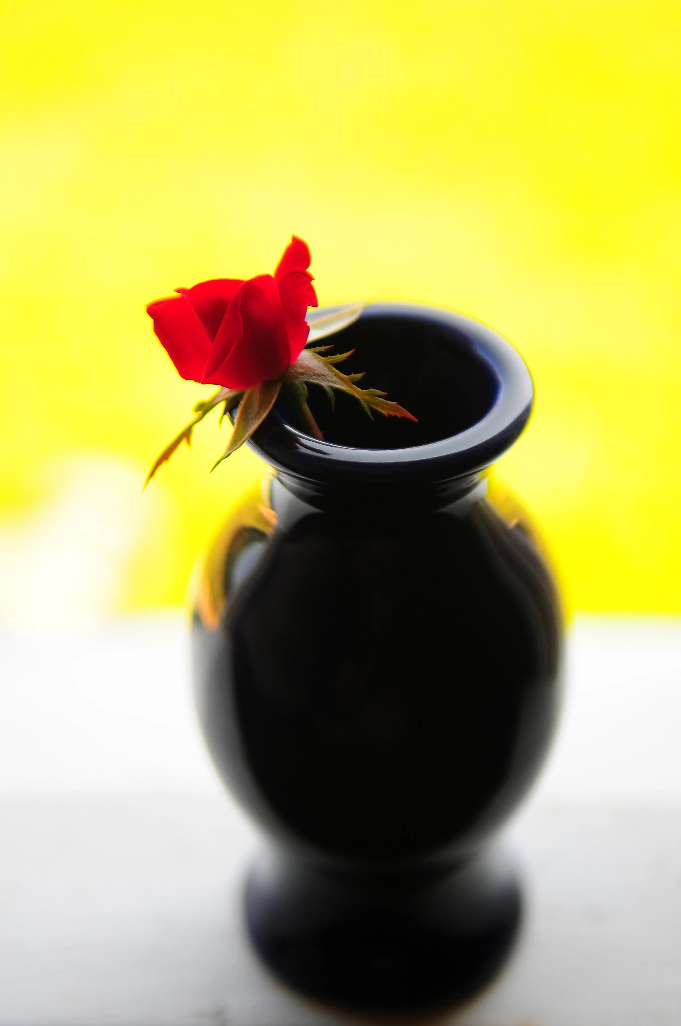 Art4Healing in the vase silvey photography-0558.jpg