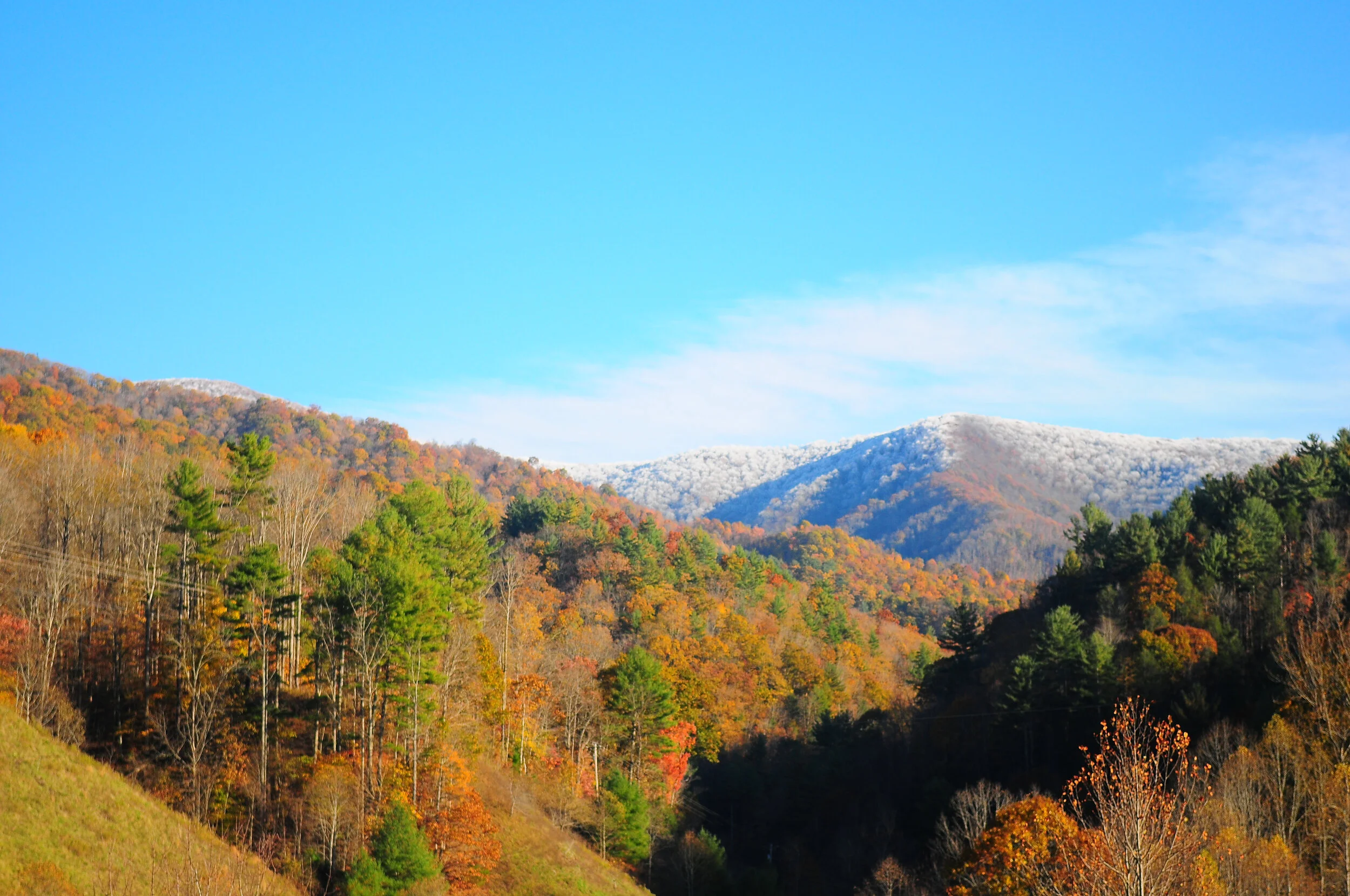 Art4Healing mountains silvey photography-4194.jpg