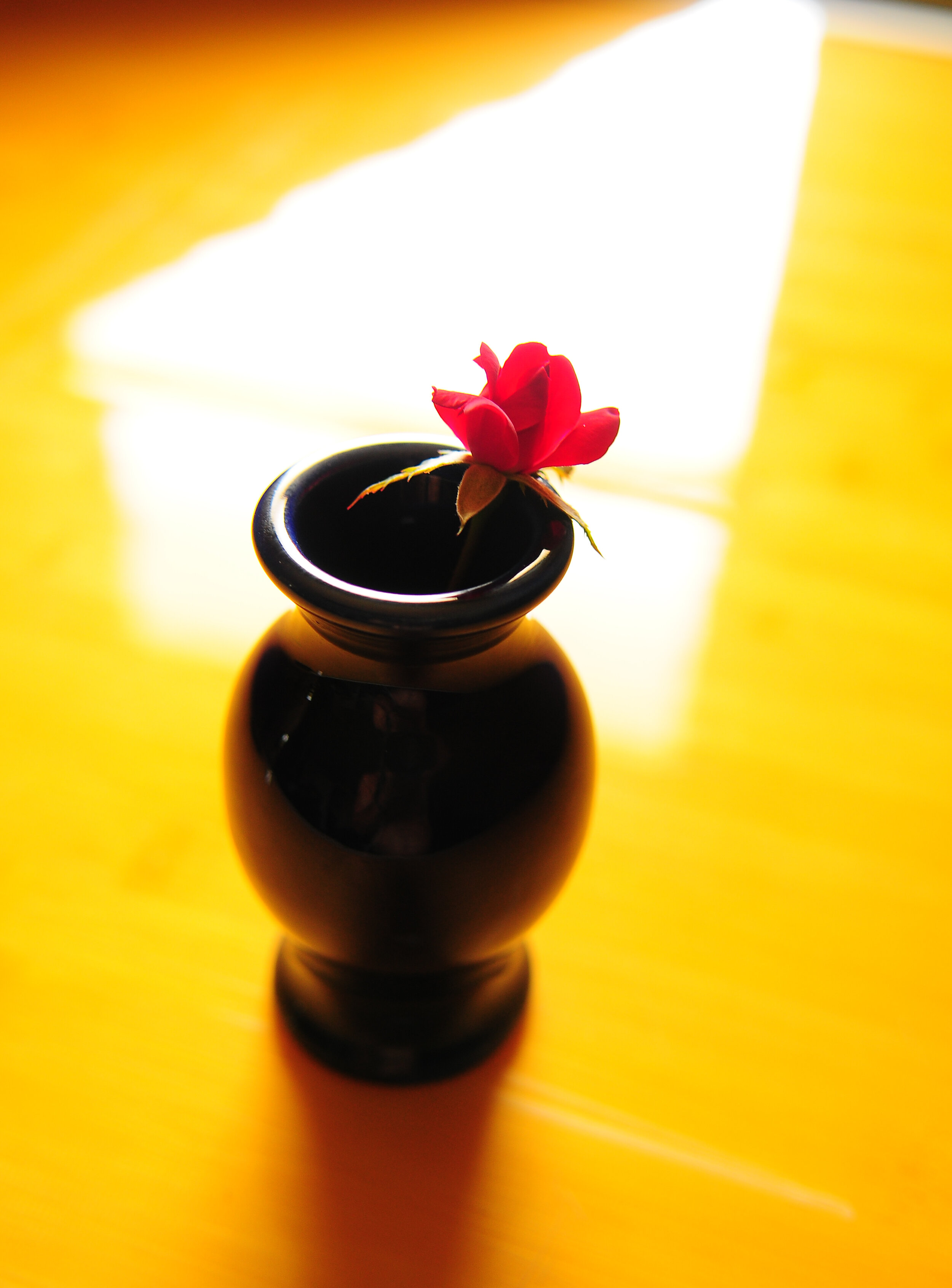 Art4Healing in the vase silvey photography-0694.jpg