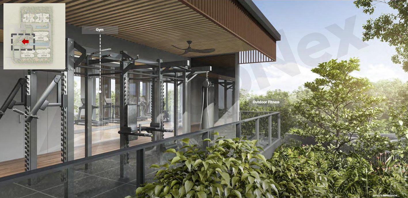 The Canopy Mirage — The Gym