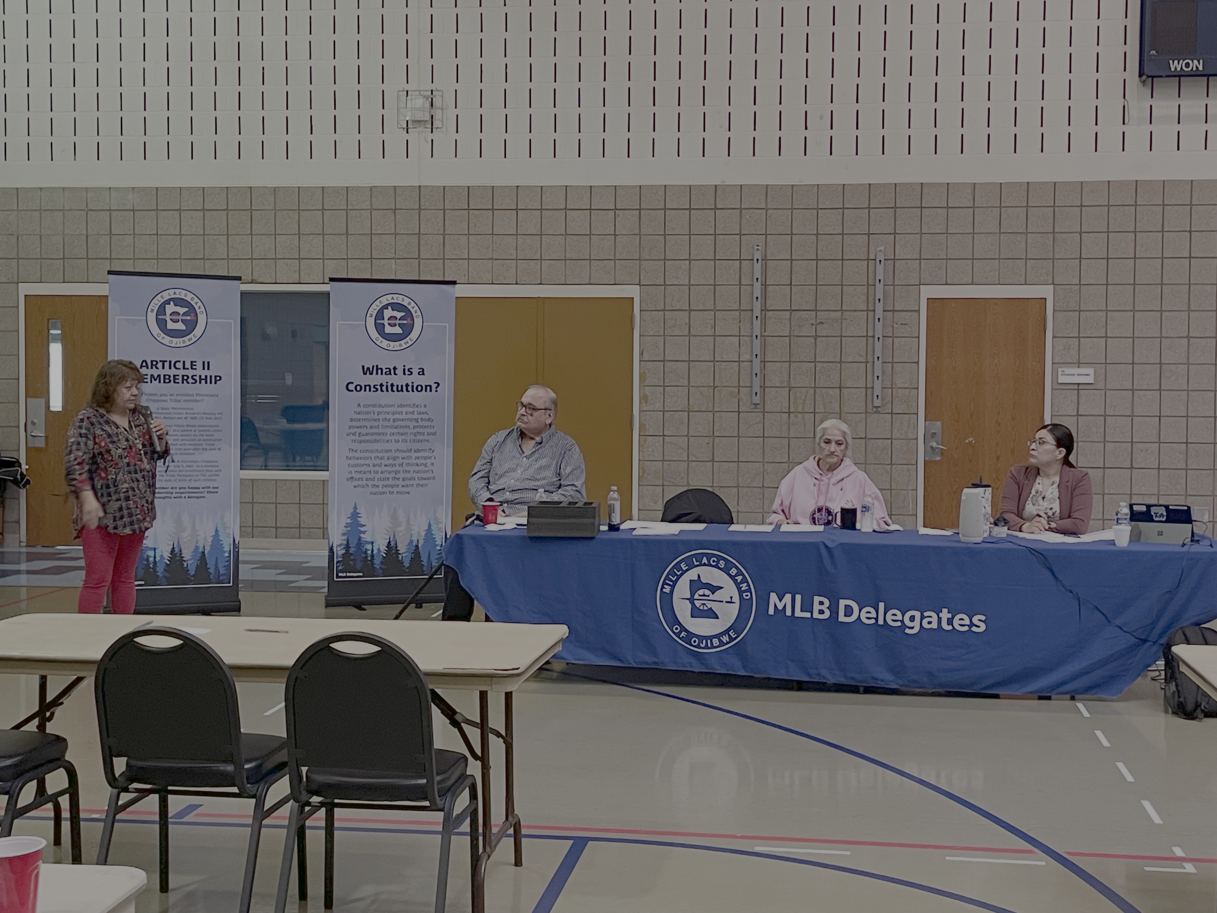 DELEGATION UPDATE: YOUR VOICE, OUR SOVEREIGNTY