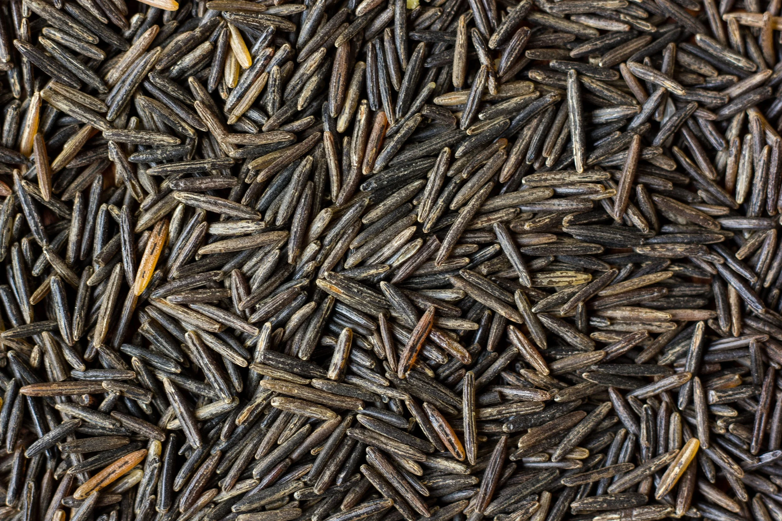 wild rice 2.jpeg