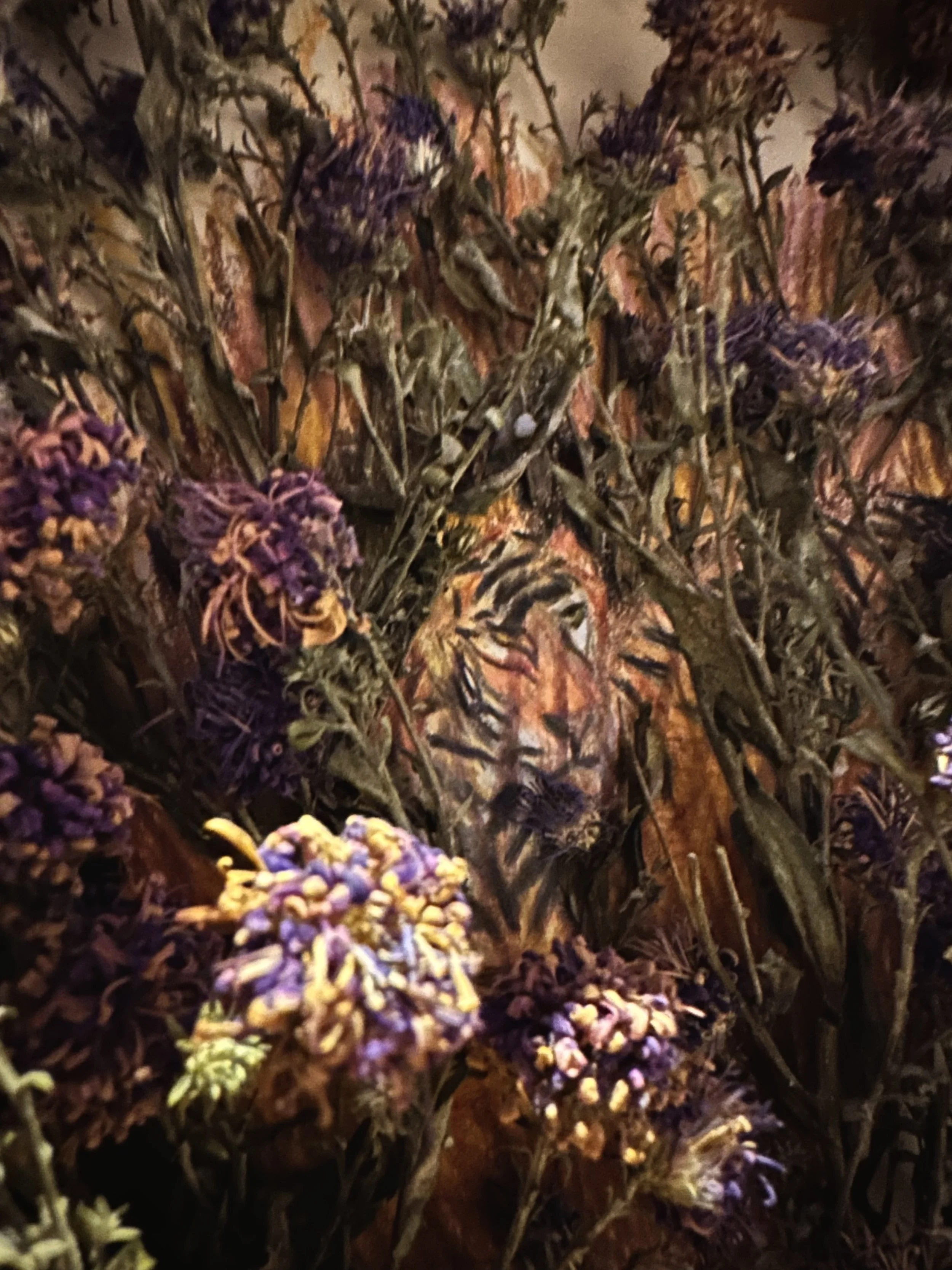 IMG_9525.jpeg