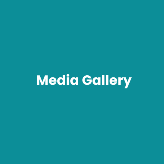 In the Media