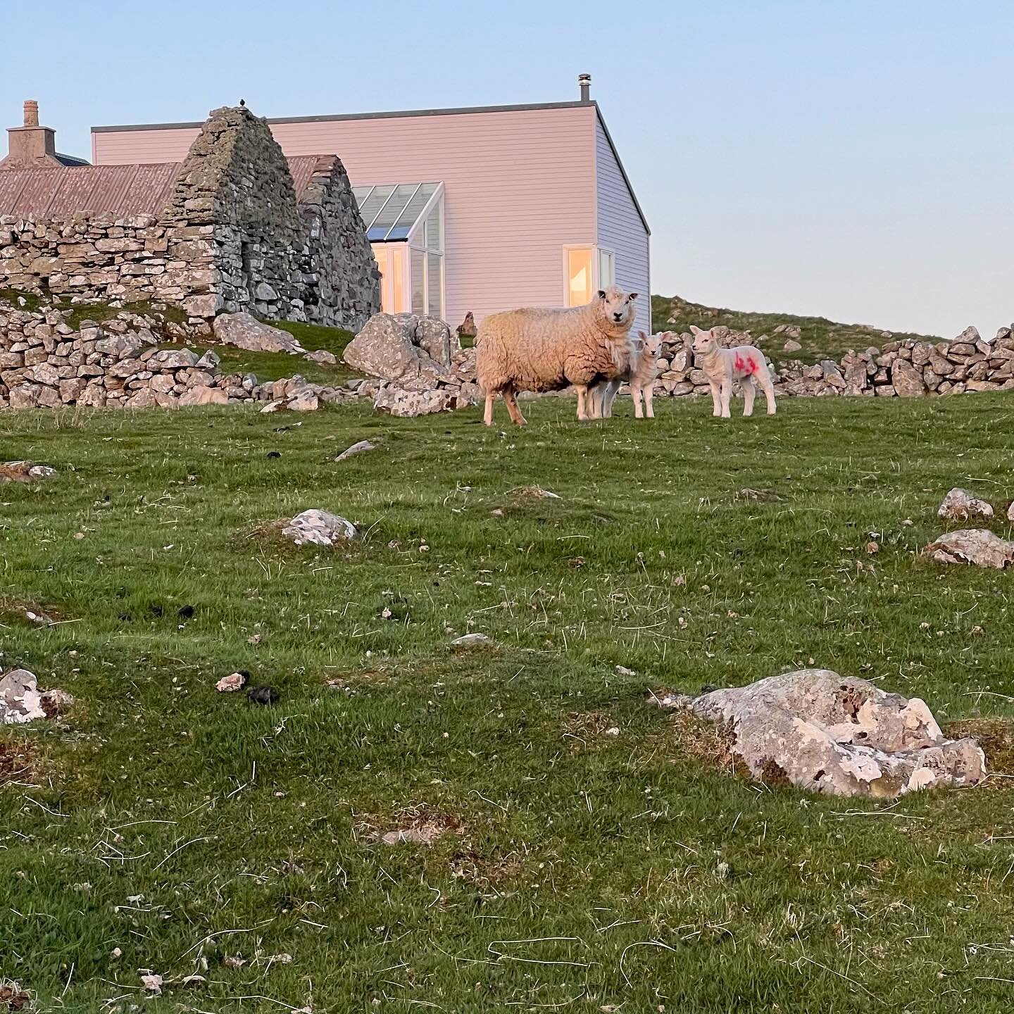 Evening light is so beautiful at this time of year.  Calm and peaceful #60north #reset #listentonature #shetland #shetlandislands #escape #visitshetland #scottishislands #scottisharchitecture #holidayhome #uniqueholidaycottage