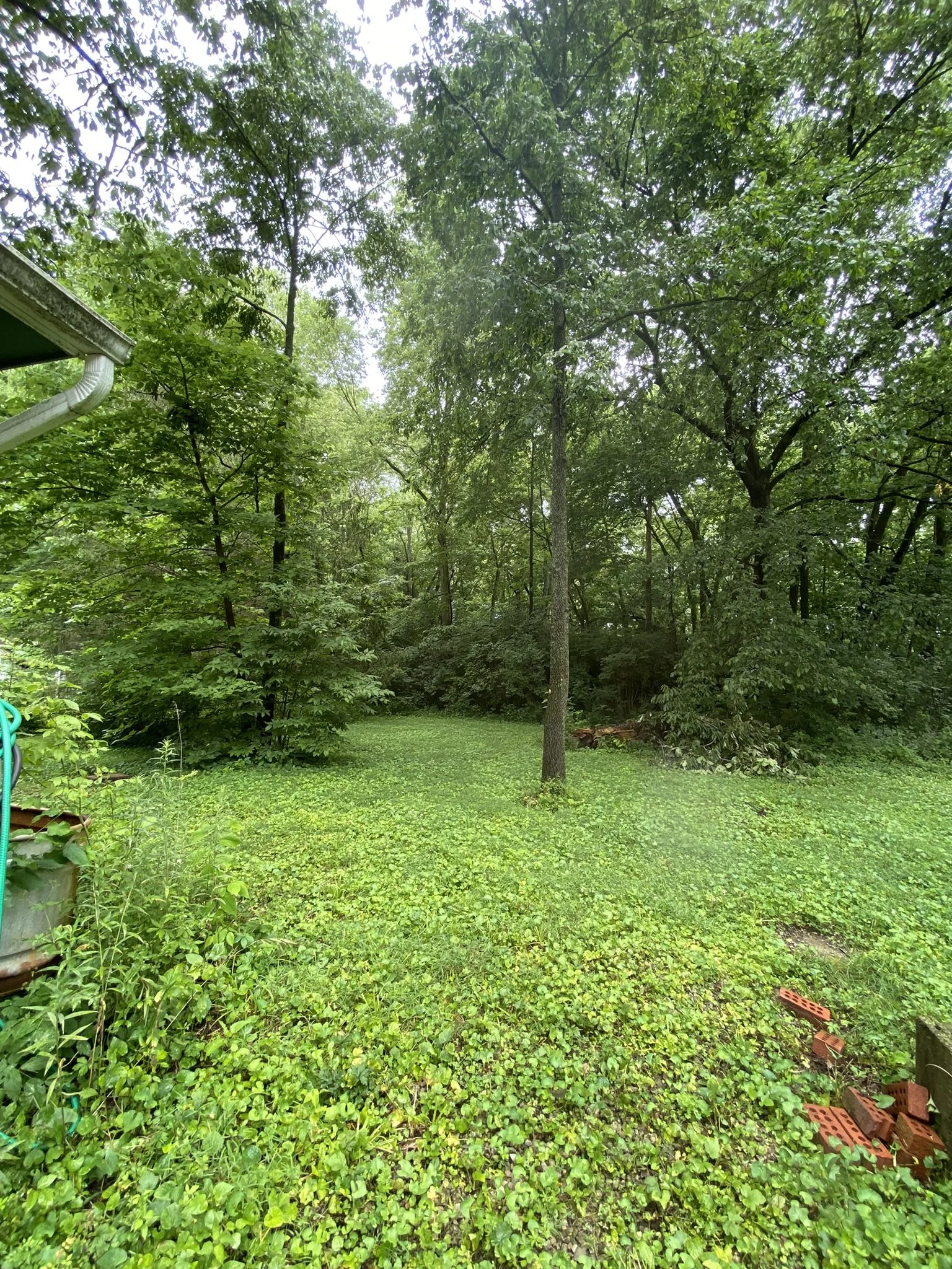 Medway, Ohio Real Estate Auction — Muncy & Associates