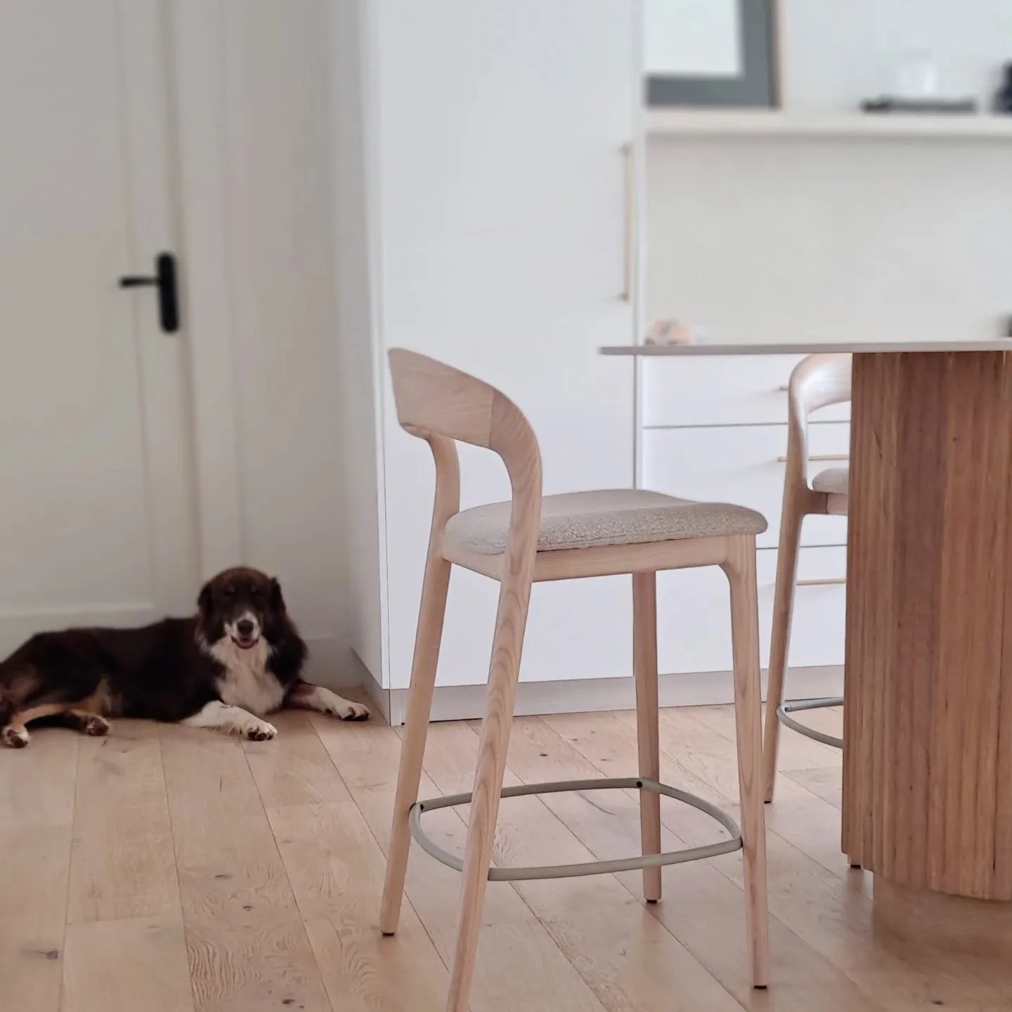 Every so often have to include a picture of a dog chilling in a kitchen it feels so homey