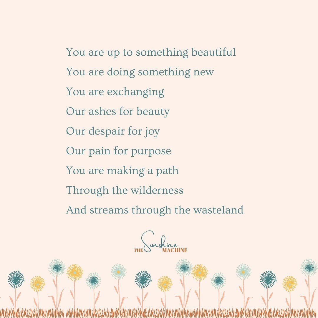 &ldquo;For I am about to do something new. See, I have already begun! Do you not see it? I will make a pathway through the wilderness. I will create rivers in s dry wasteland.&rdquo; Isaiah 43:19 NLT 🌻

#thesunshinemachine