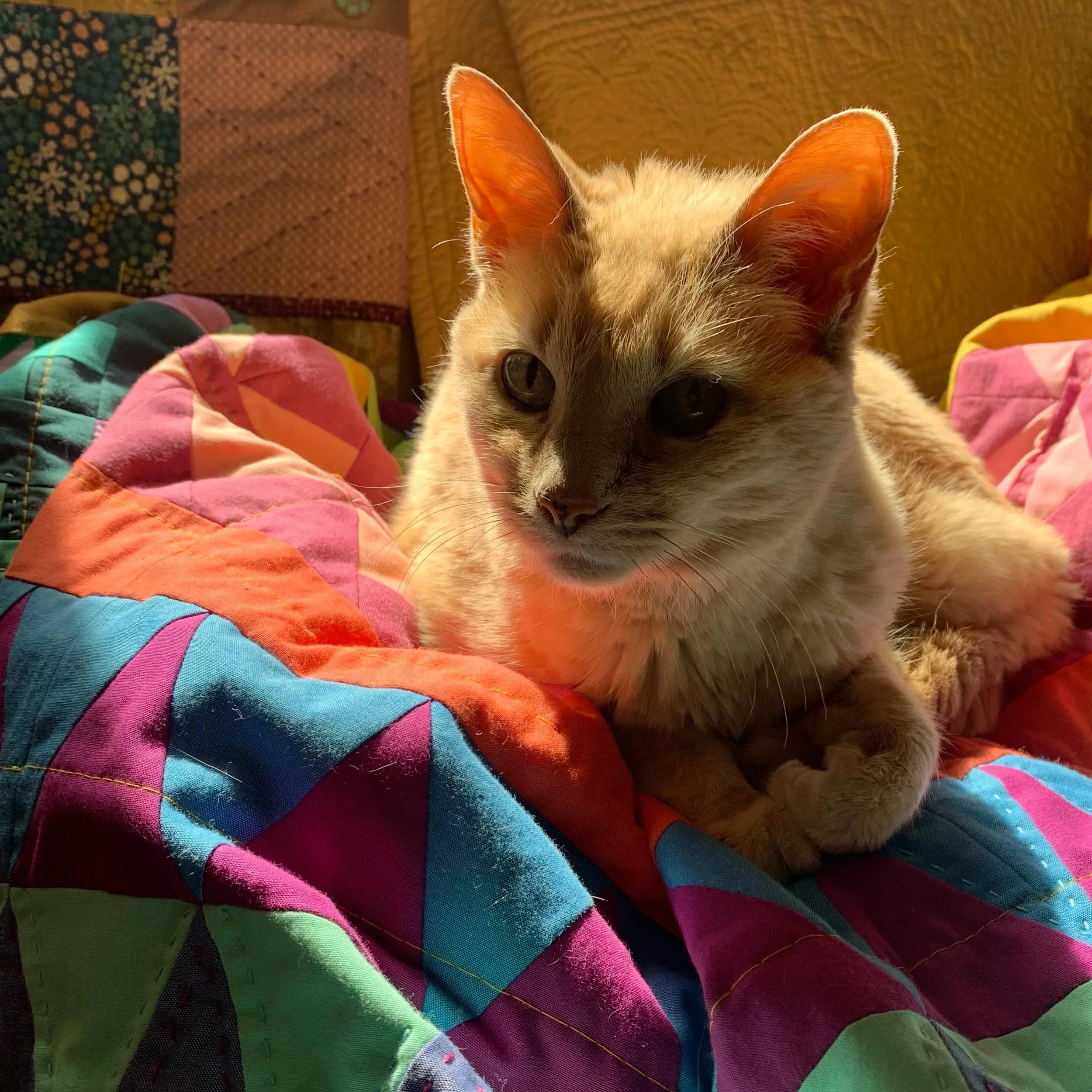 Just got a new phone, so looking through old photos seems like a whole new experience.