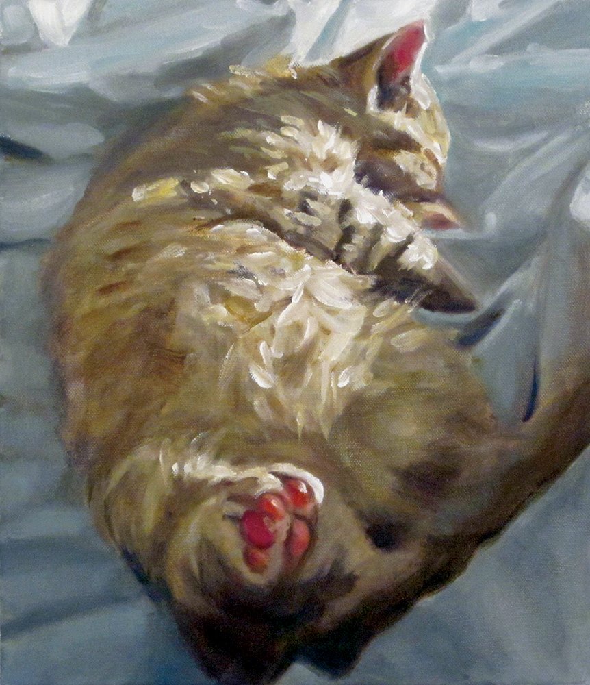   Ziggy,  2012, oil on canvas, 34 x 39 cm 