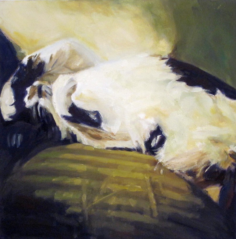   Murray,  2012, oil on canvas, 39 x 39 cm 