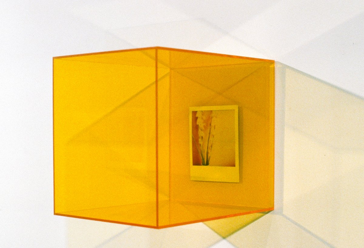   Enclosures,  Tamsin Clark 