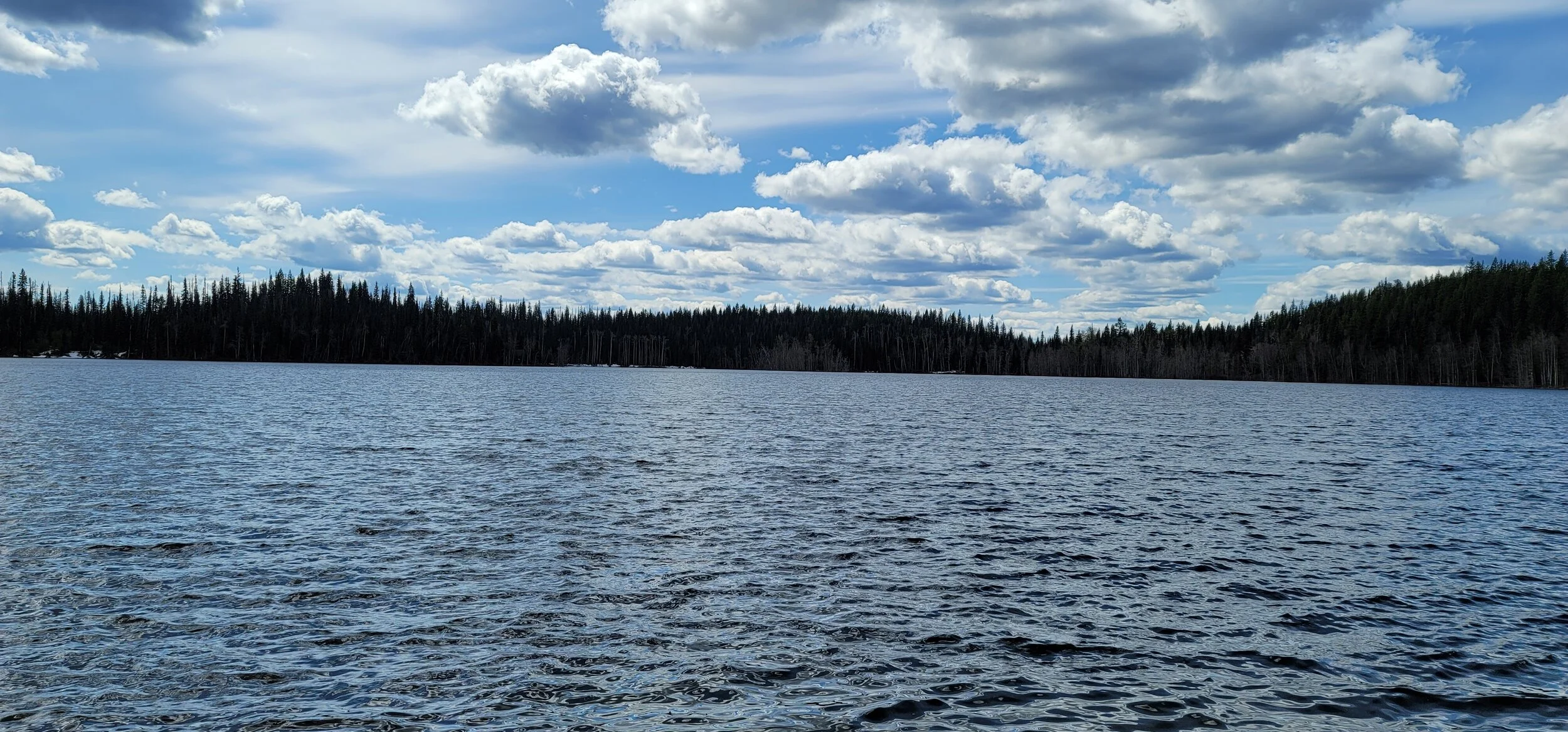 20210513_124023.jpg