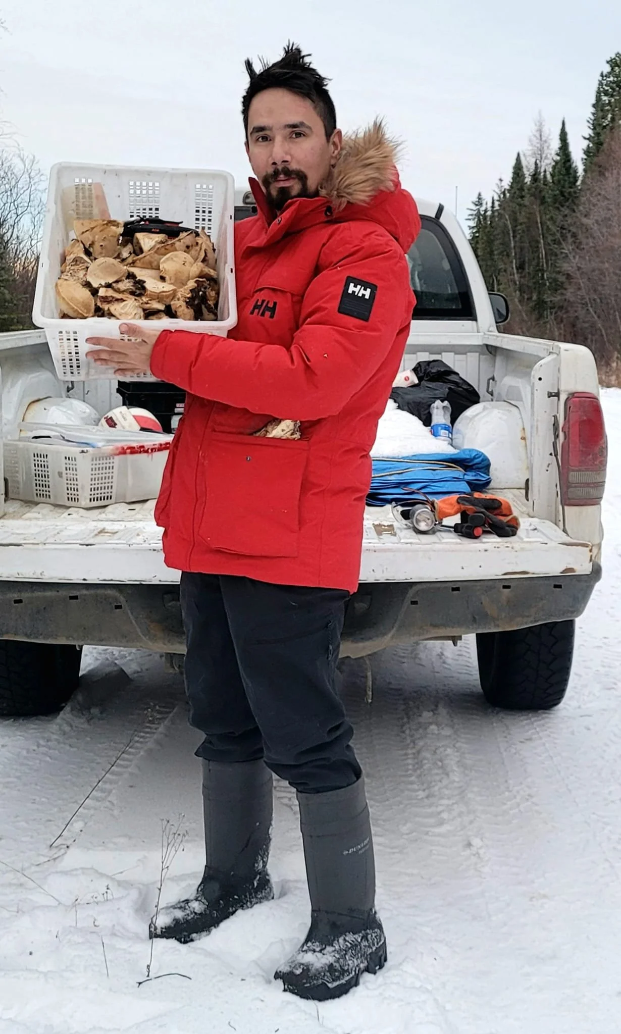 freshly harvested diamond willow fungus