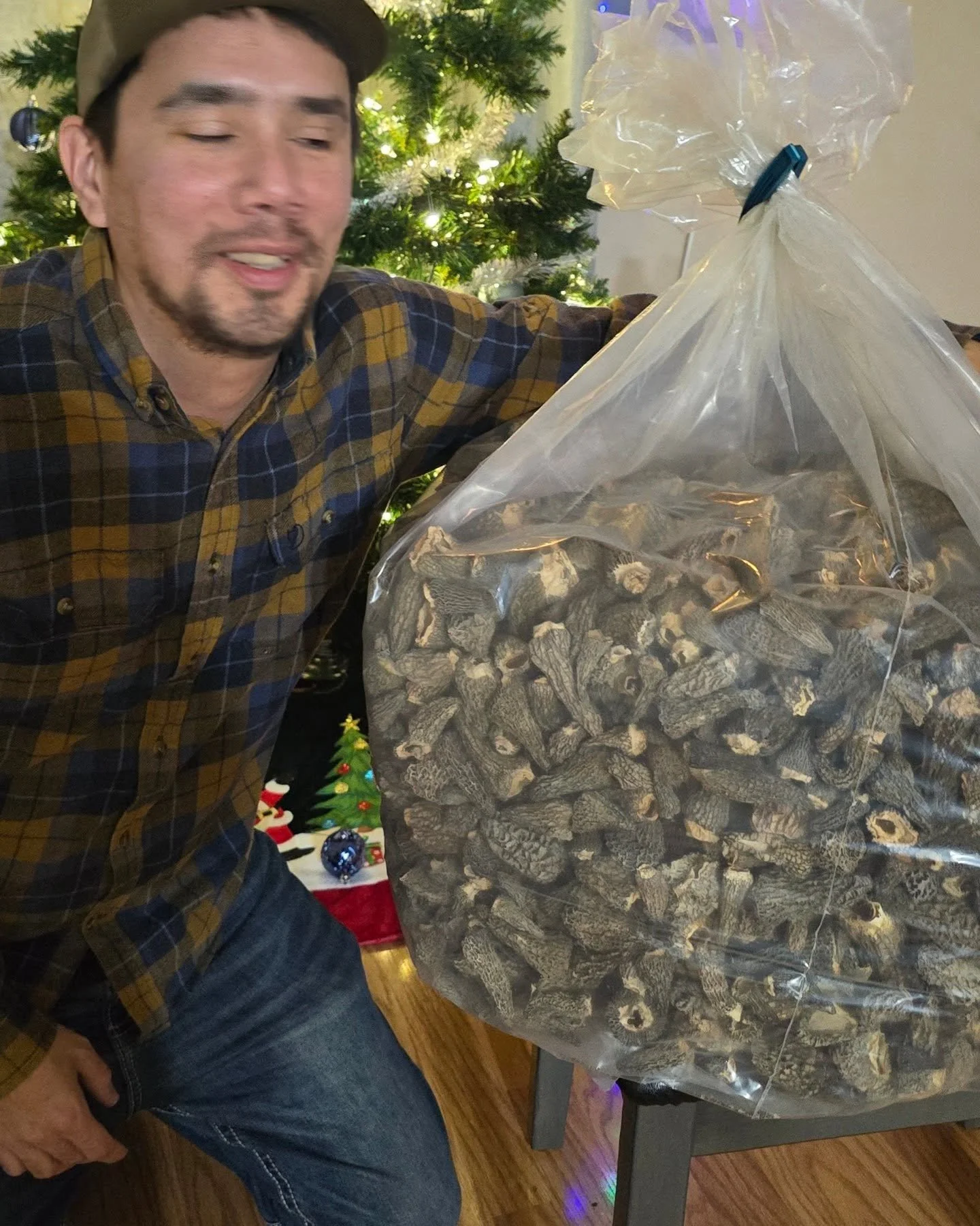 This is what 100 lbs of fresh morel mushrooms looks like when it's dry 😍 #morel #morelmushrooms #fungi #fungus #gourmet #organic #food #wild