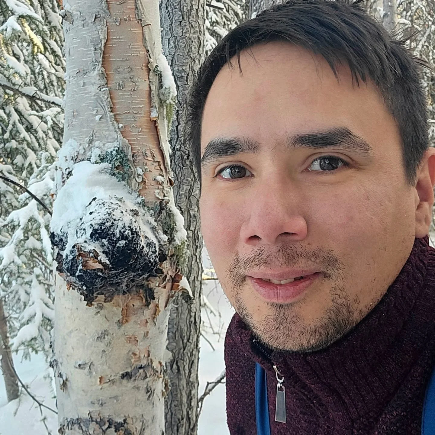 Chaga is one of the few medicinal items you can pick during the winter. Very grateful to have found some today. This one piece will make a lot of tinctures! #chaga #chagamushroom #foraging #birch #winter #medicine #natural