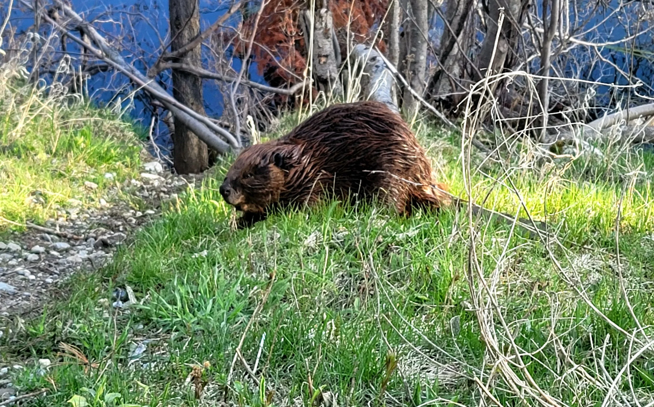 20220522_185833.jpg