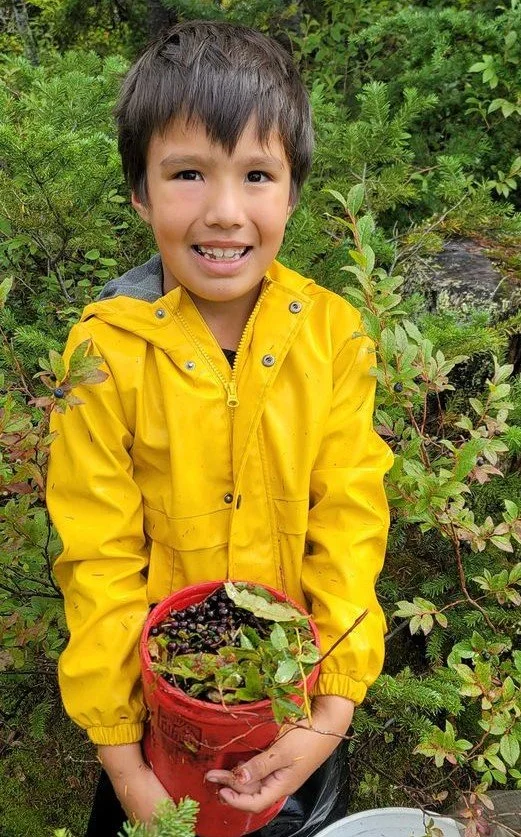 Wild harvested huckleberries from the North Coast of BC