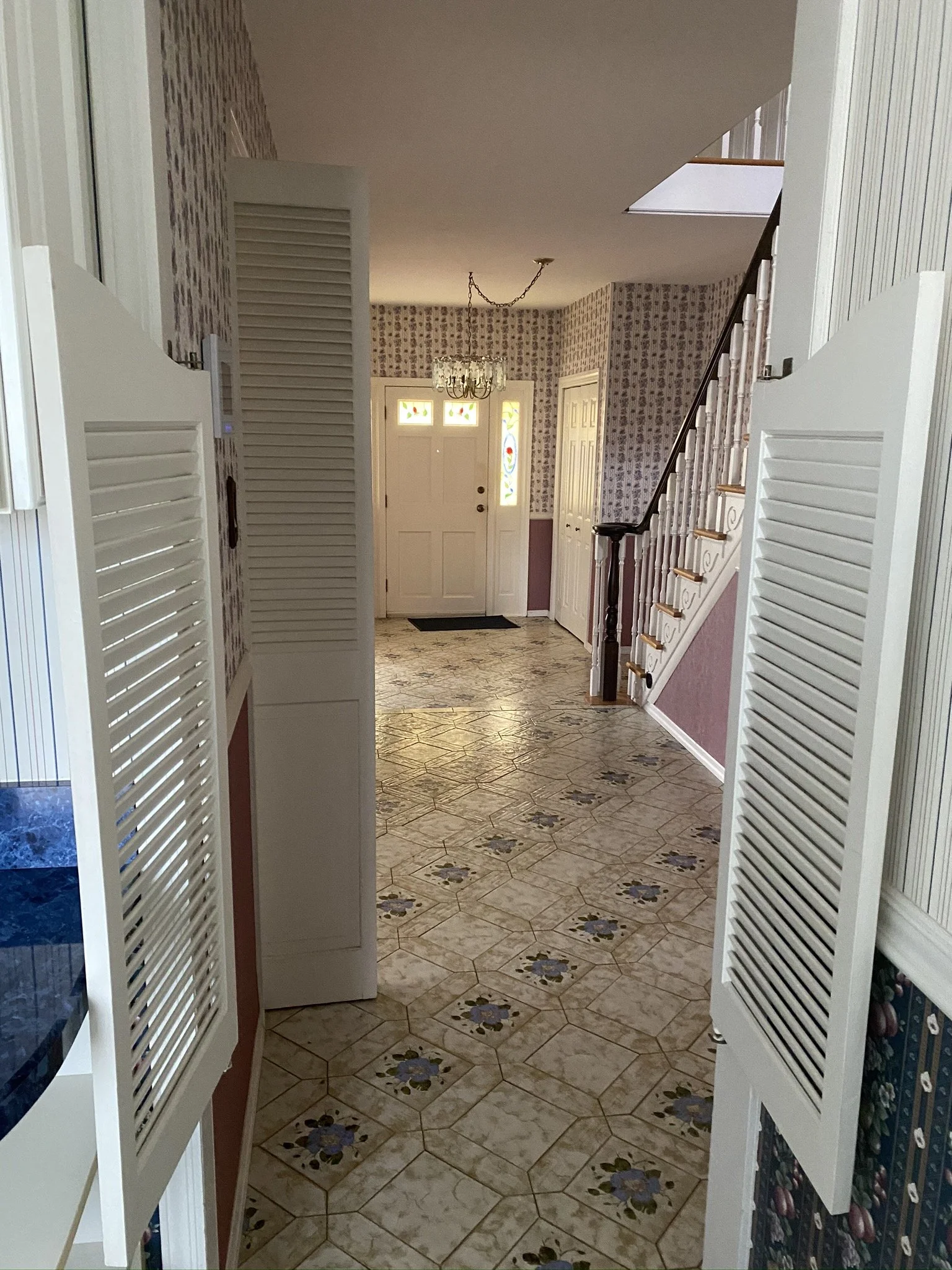 1b Levy Before 2.jpeg