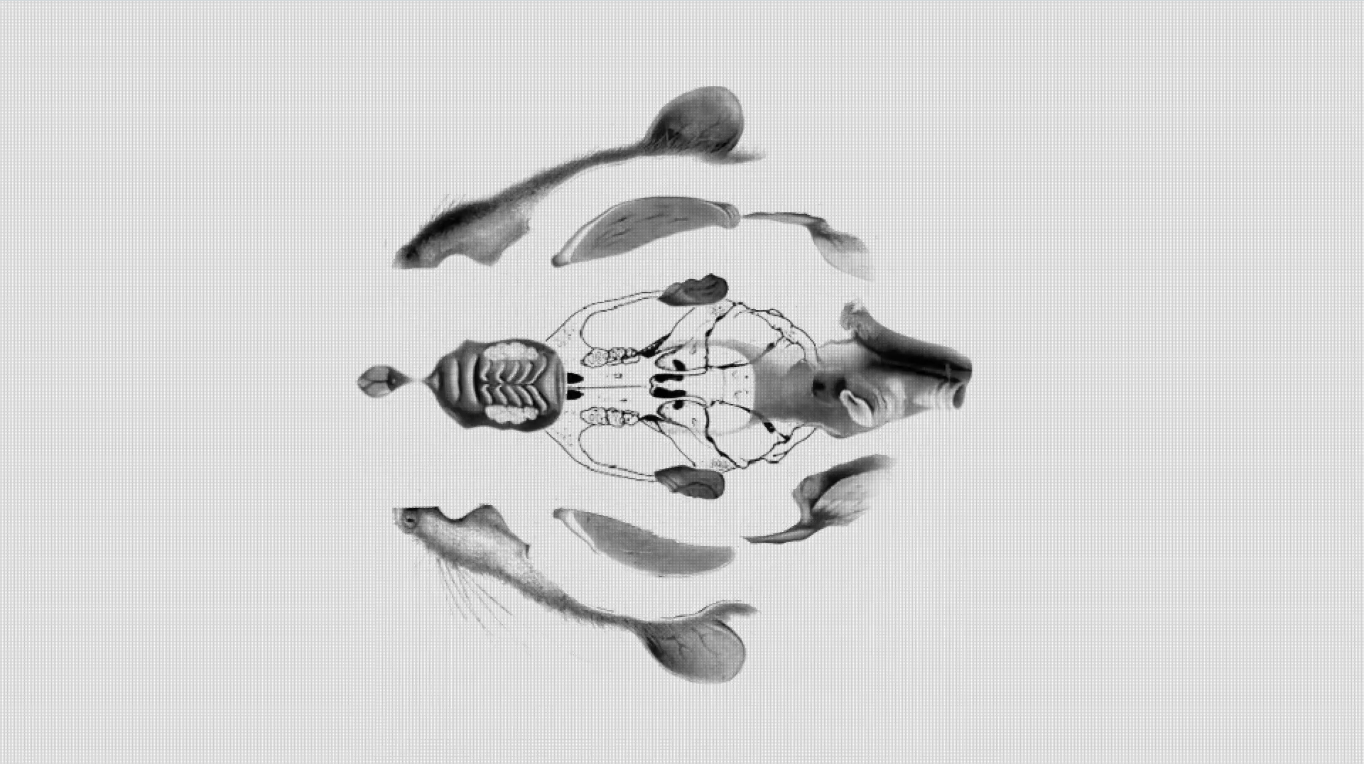 Rat King - Title Sequence