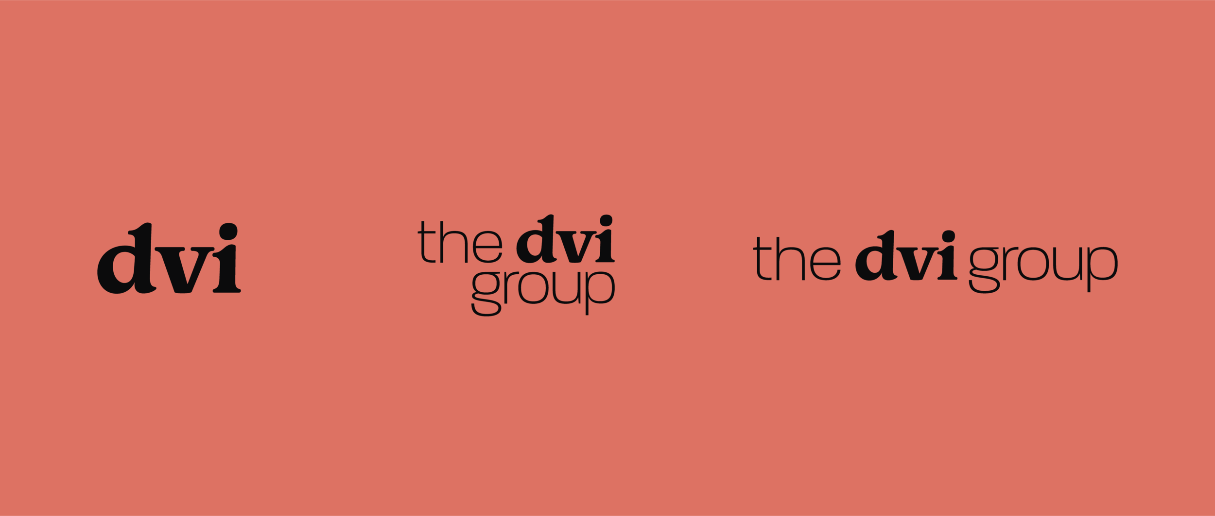 DVI2021.logos.png