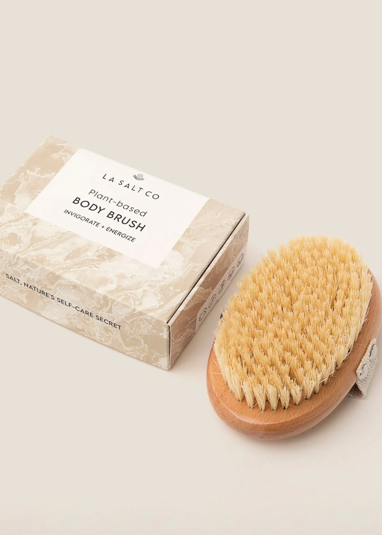 Plant-Based Dry Brush