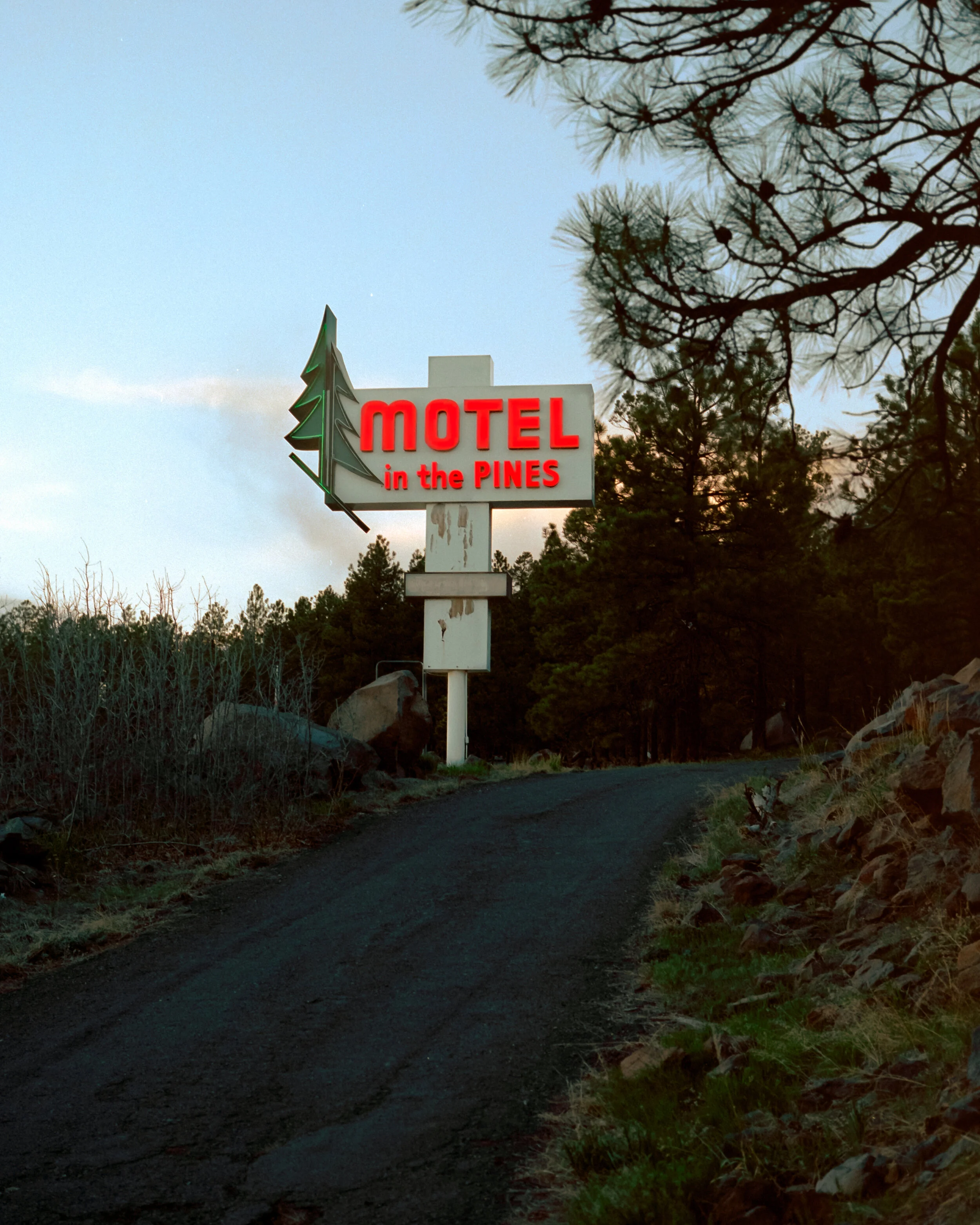 Motel in the Pines 12x18 print