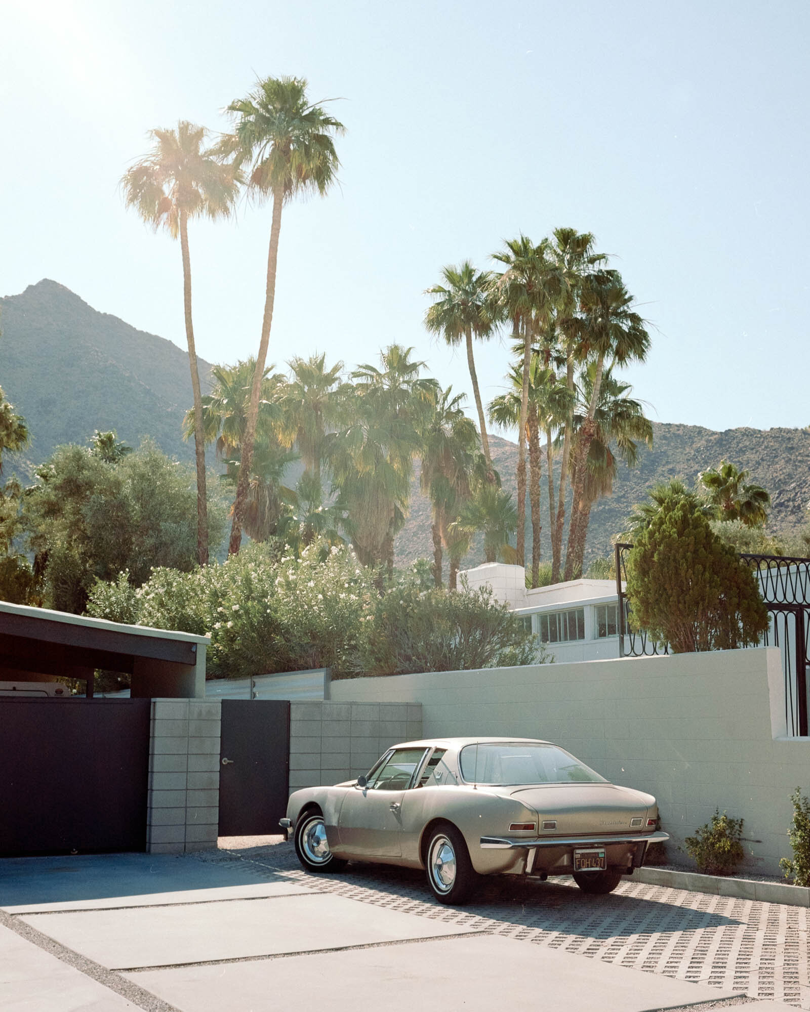 Palm Springs Avanti 8x10 Print
