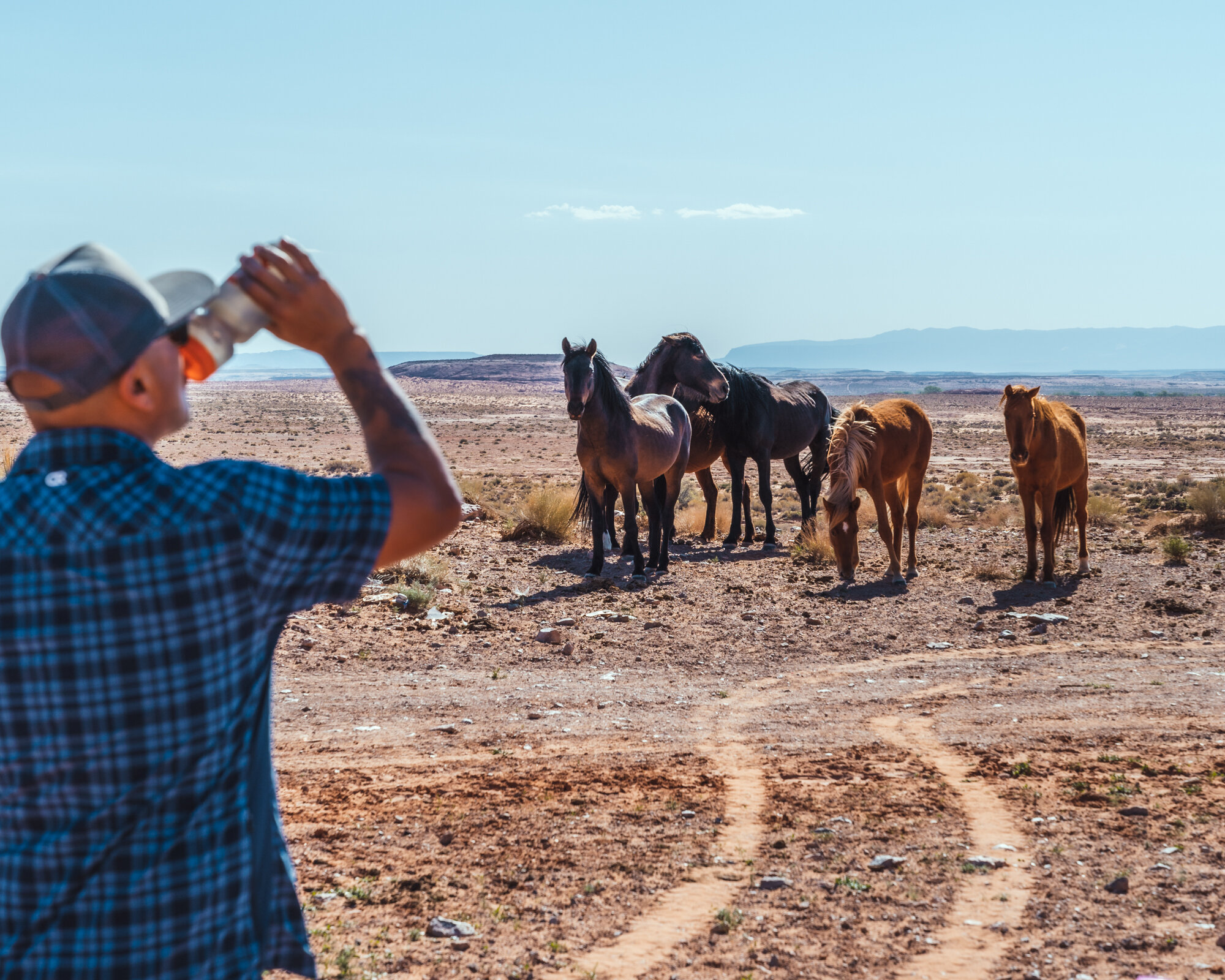 Comb Ridge 5.2021-40.jpg