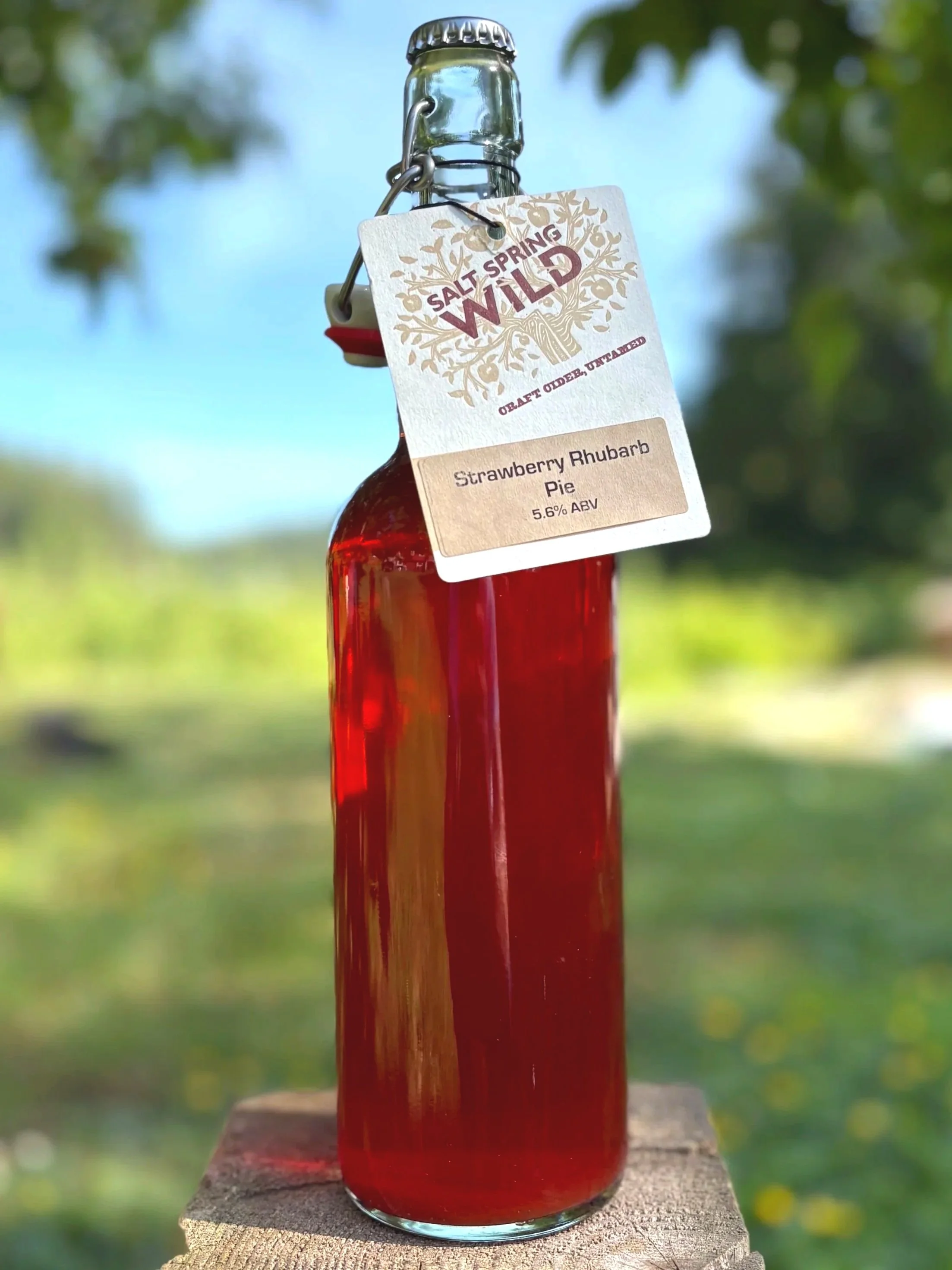 Club Selection - Strawberry Rhubarb Pie