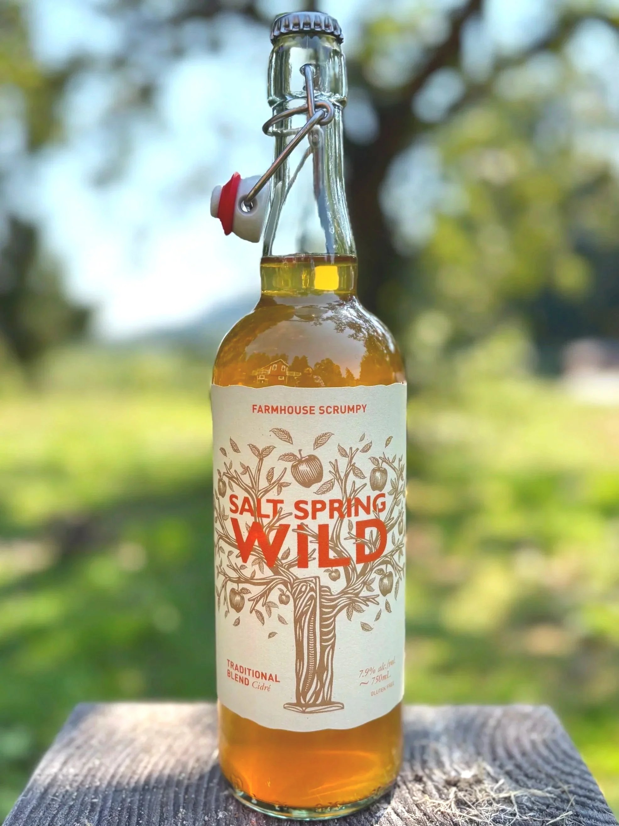 Scrumpy 2025.jpg