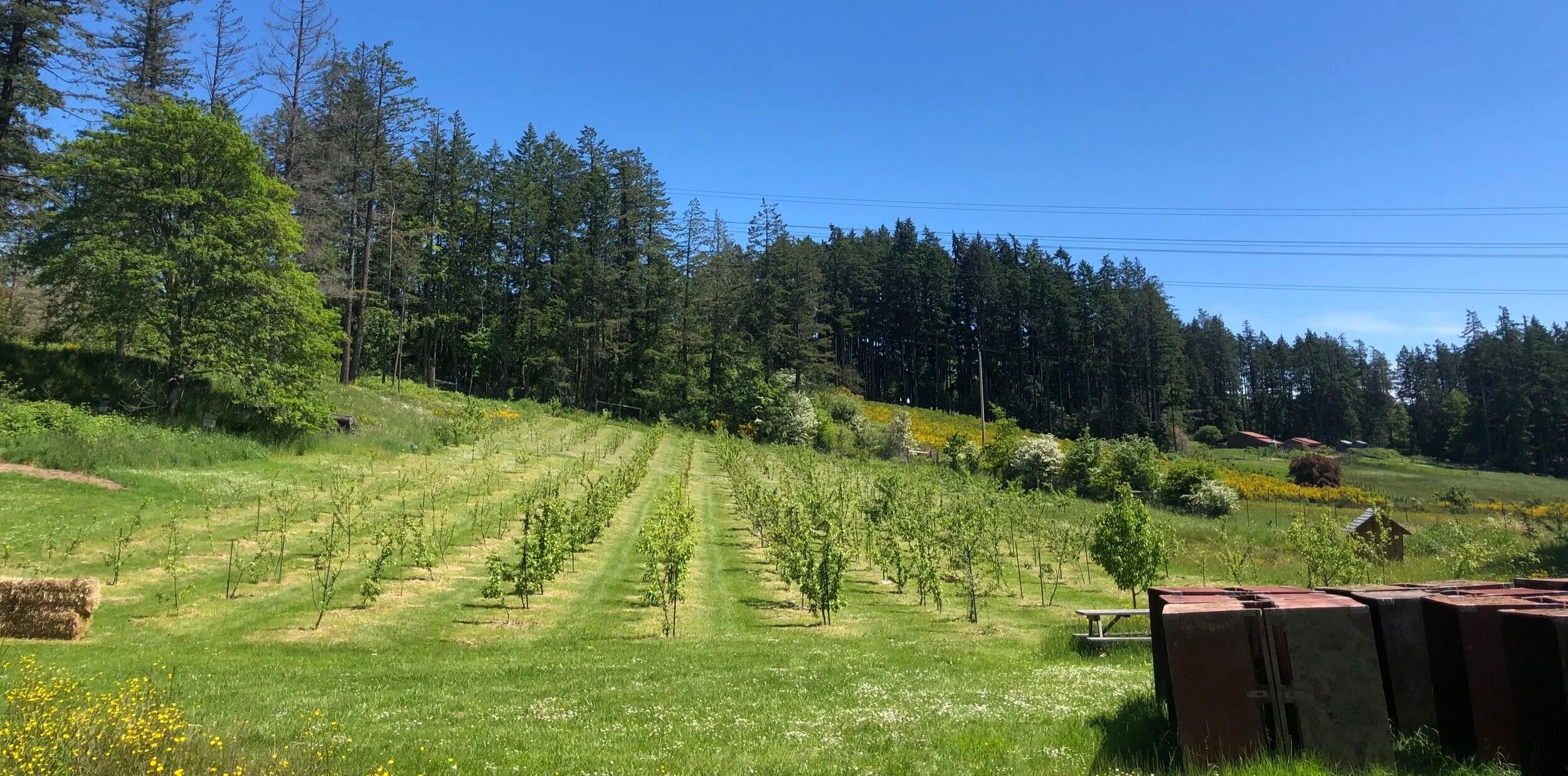 Visit the Cider House — Salt Spring Wild Cider