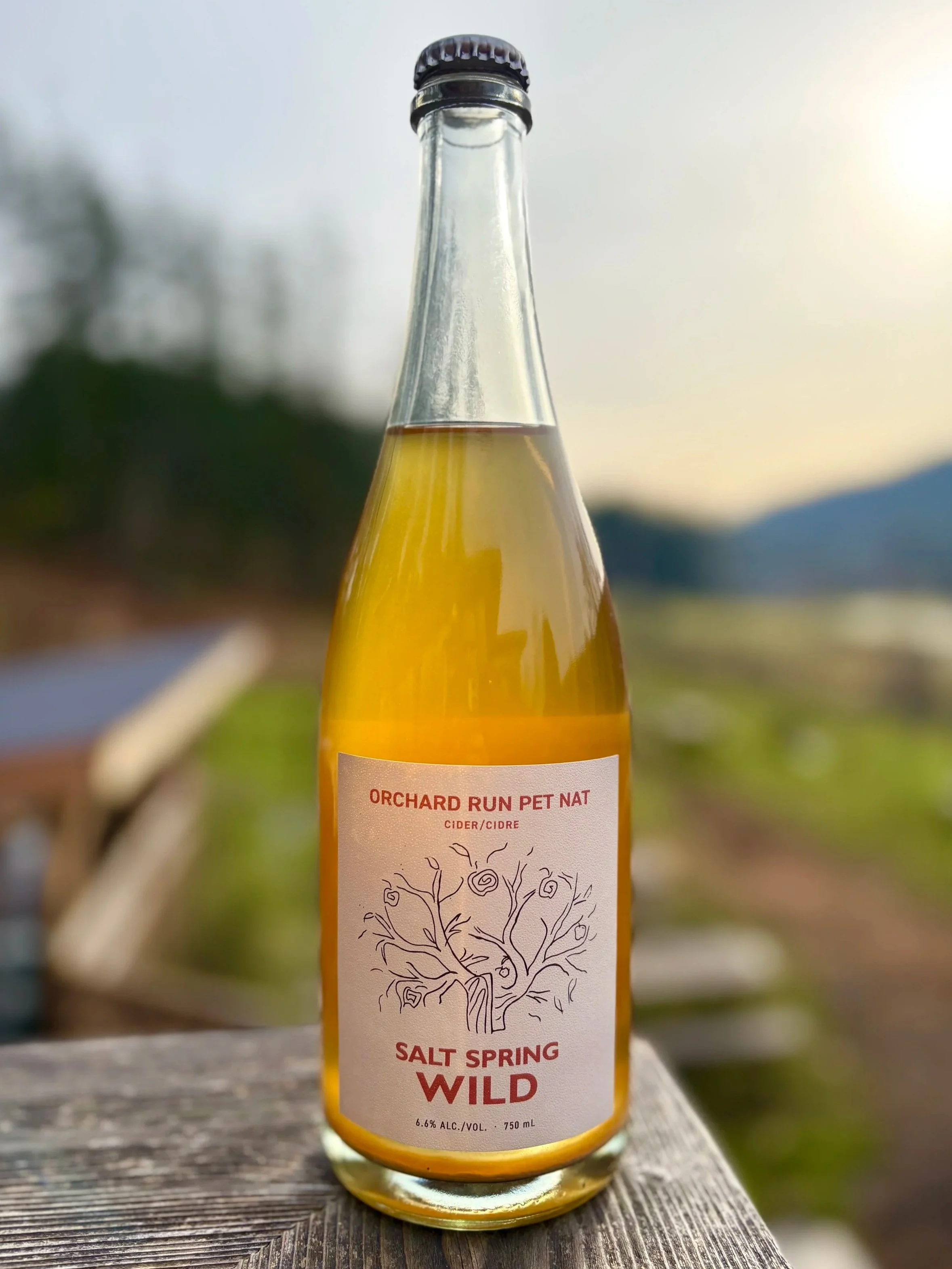 Orchard Run Pét Nat