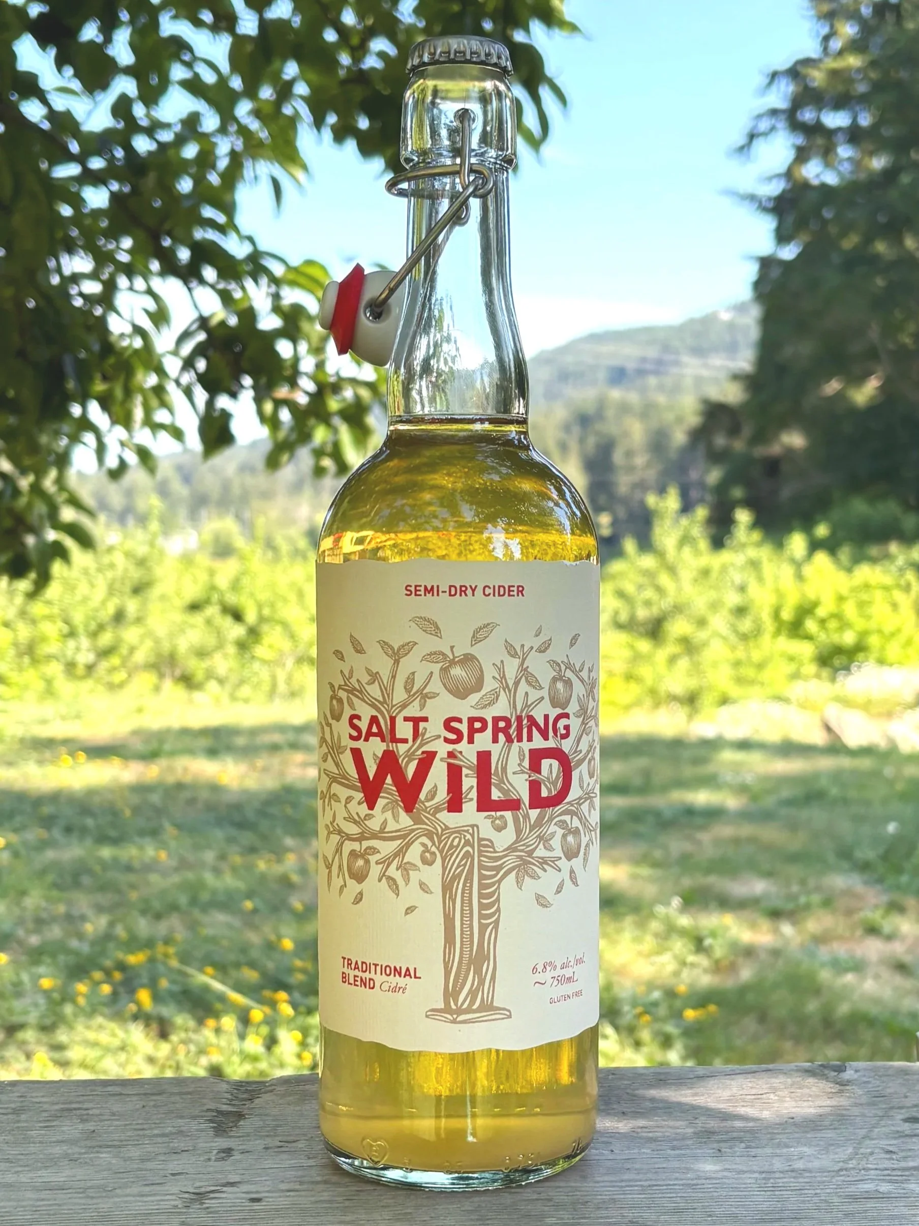 Semi-Dry Cider
