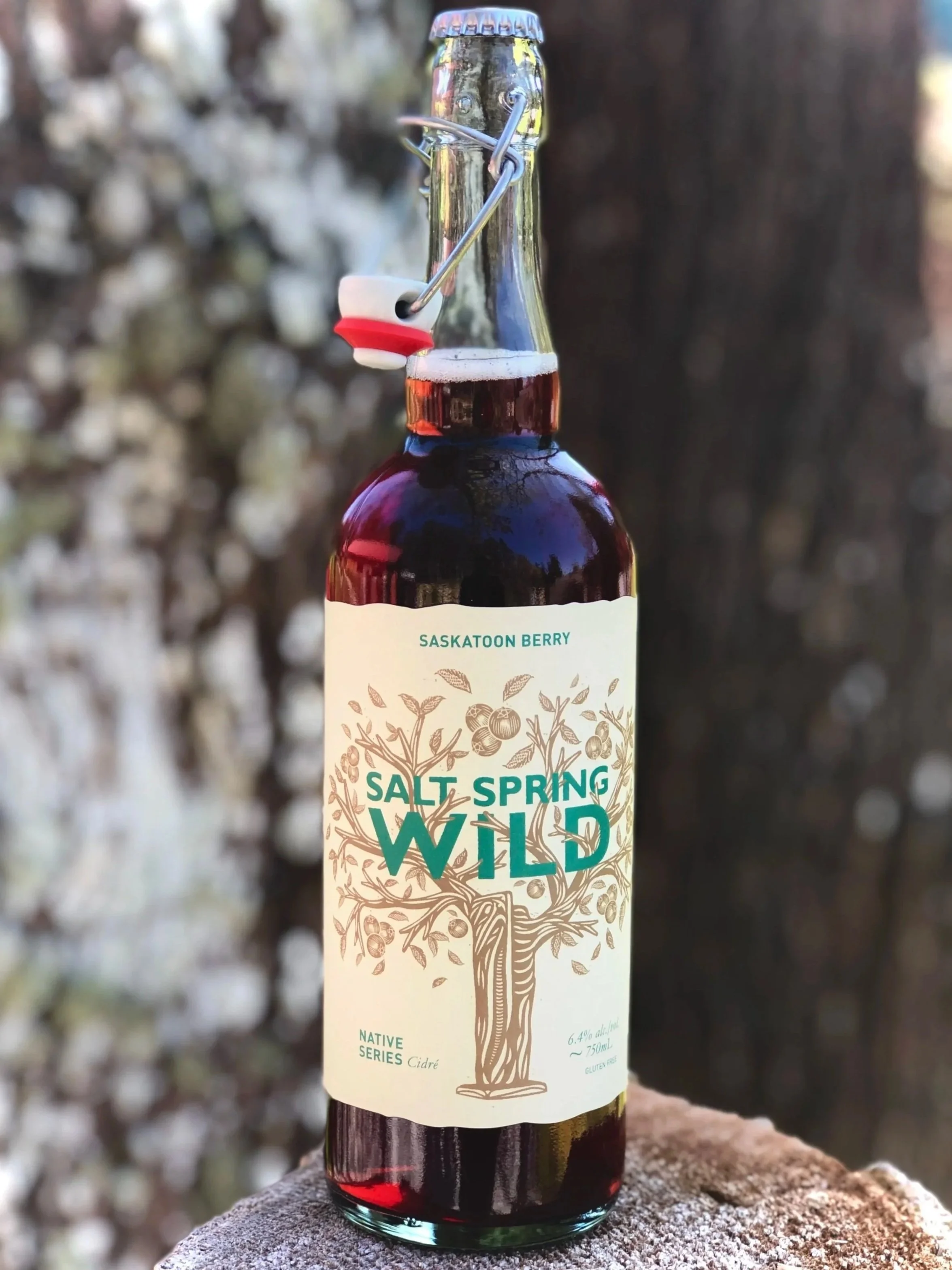 Club Selection - Saskatoon Berry