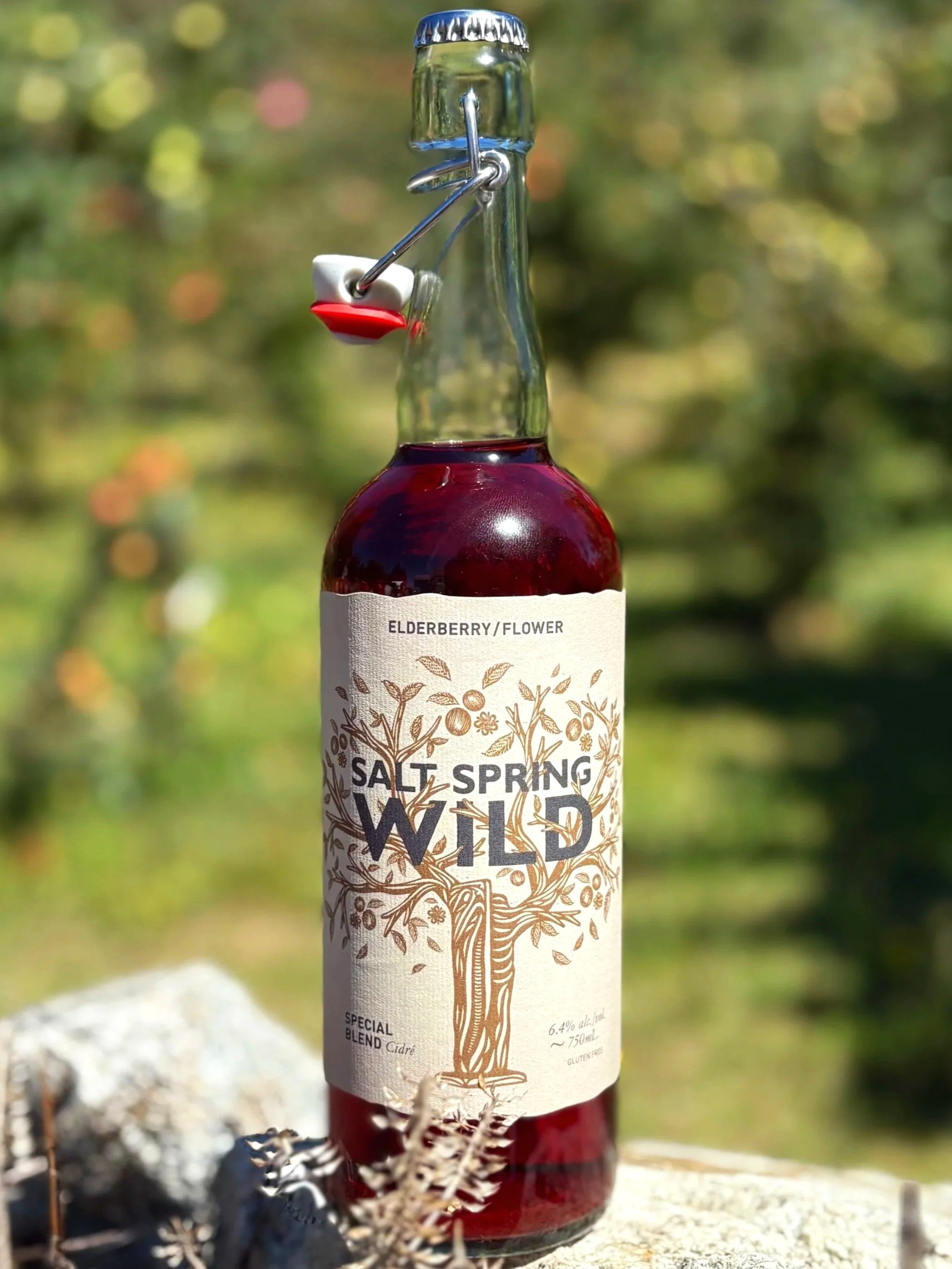 Elderberry/Flower Cider
