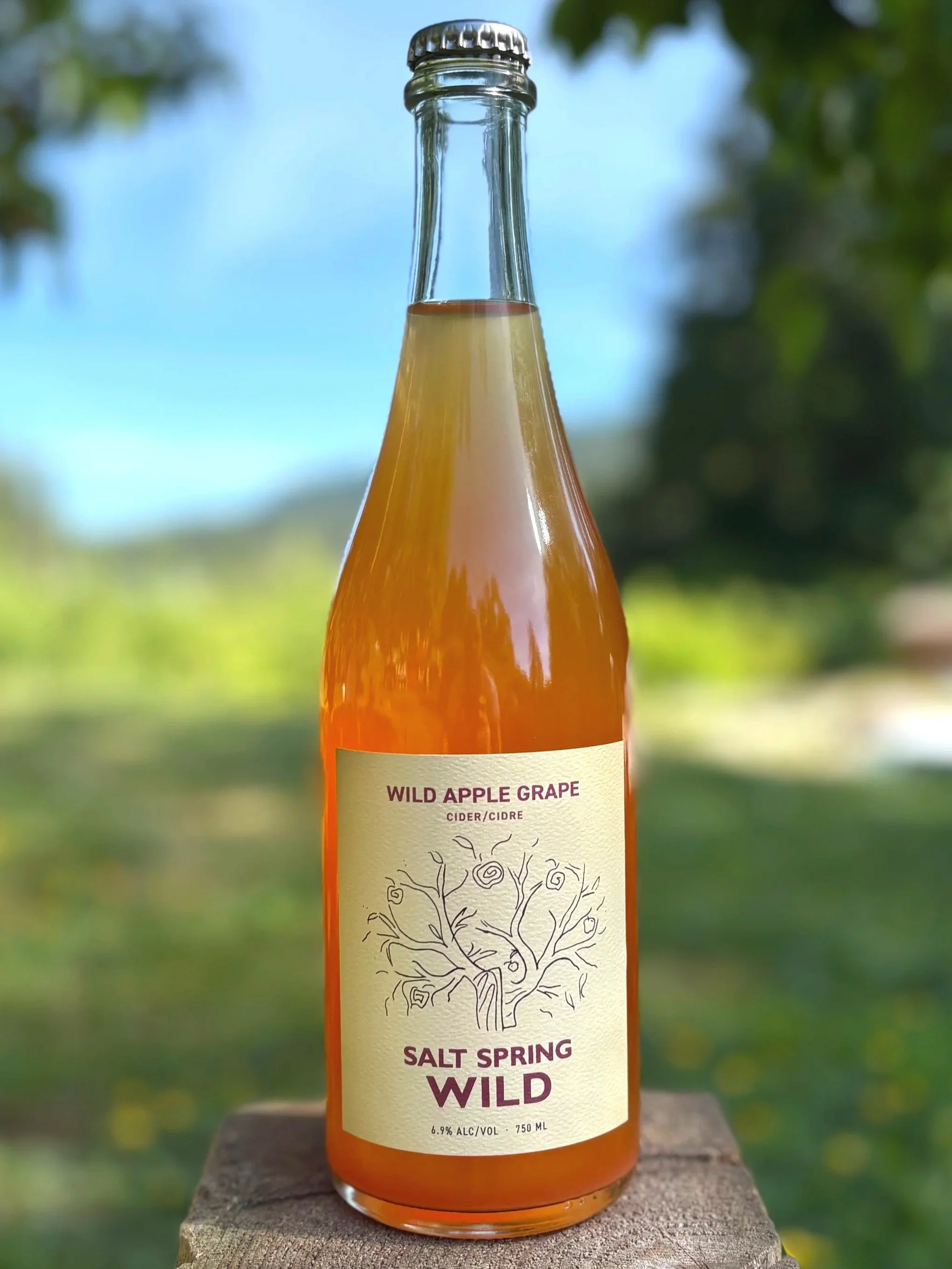 Wild Apple Grape 2026.jpg