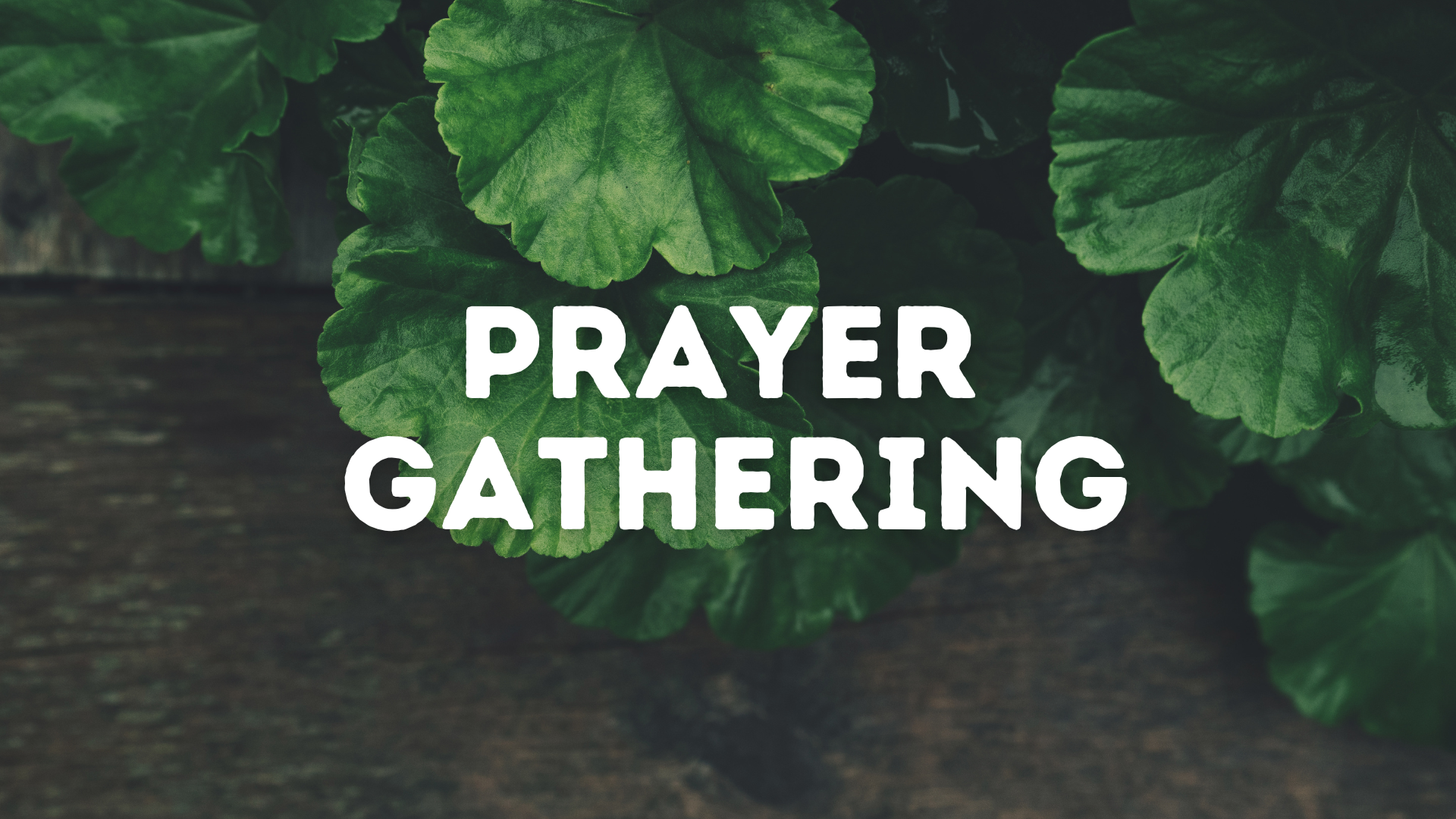 Prayer Gathering