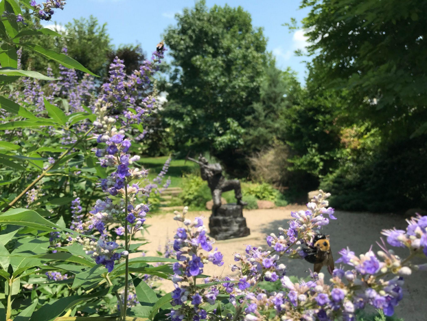 Miner's Garden Pic.PNG