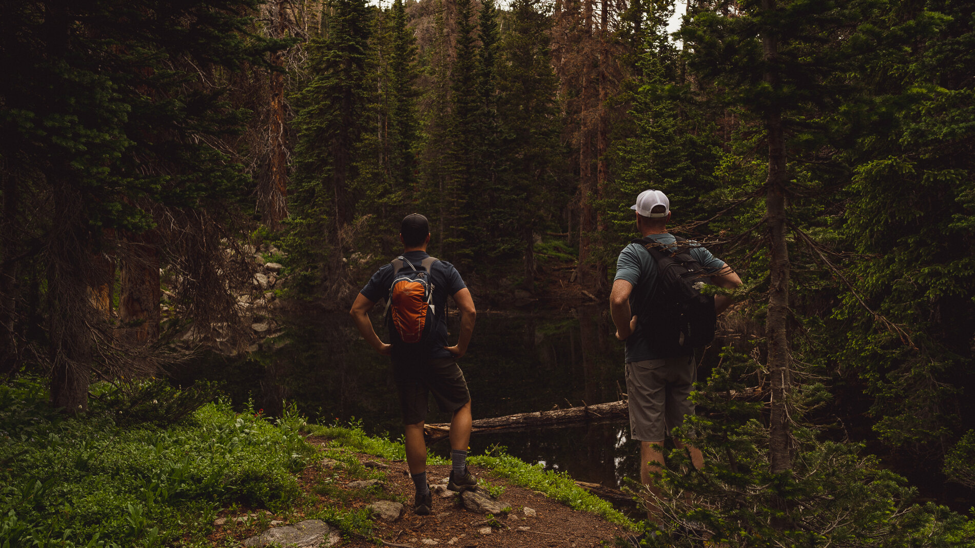 Ask the deeper question