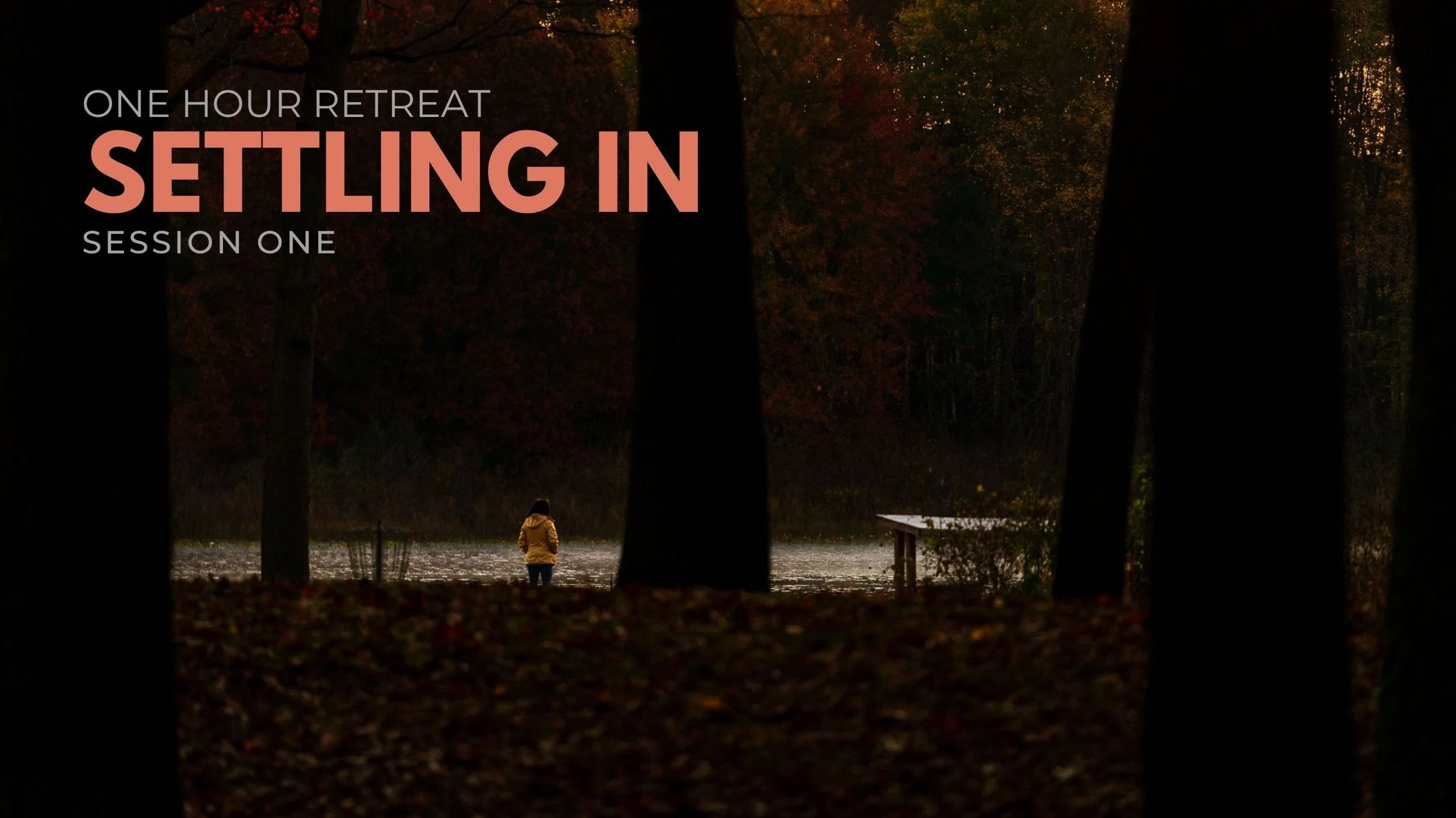 SETTLING IN - VIDEO 1.jpg