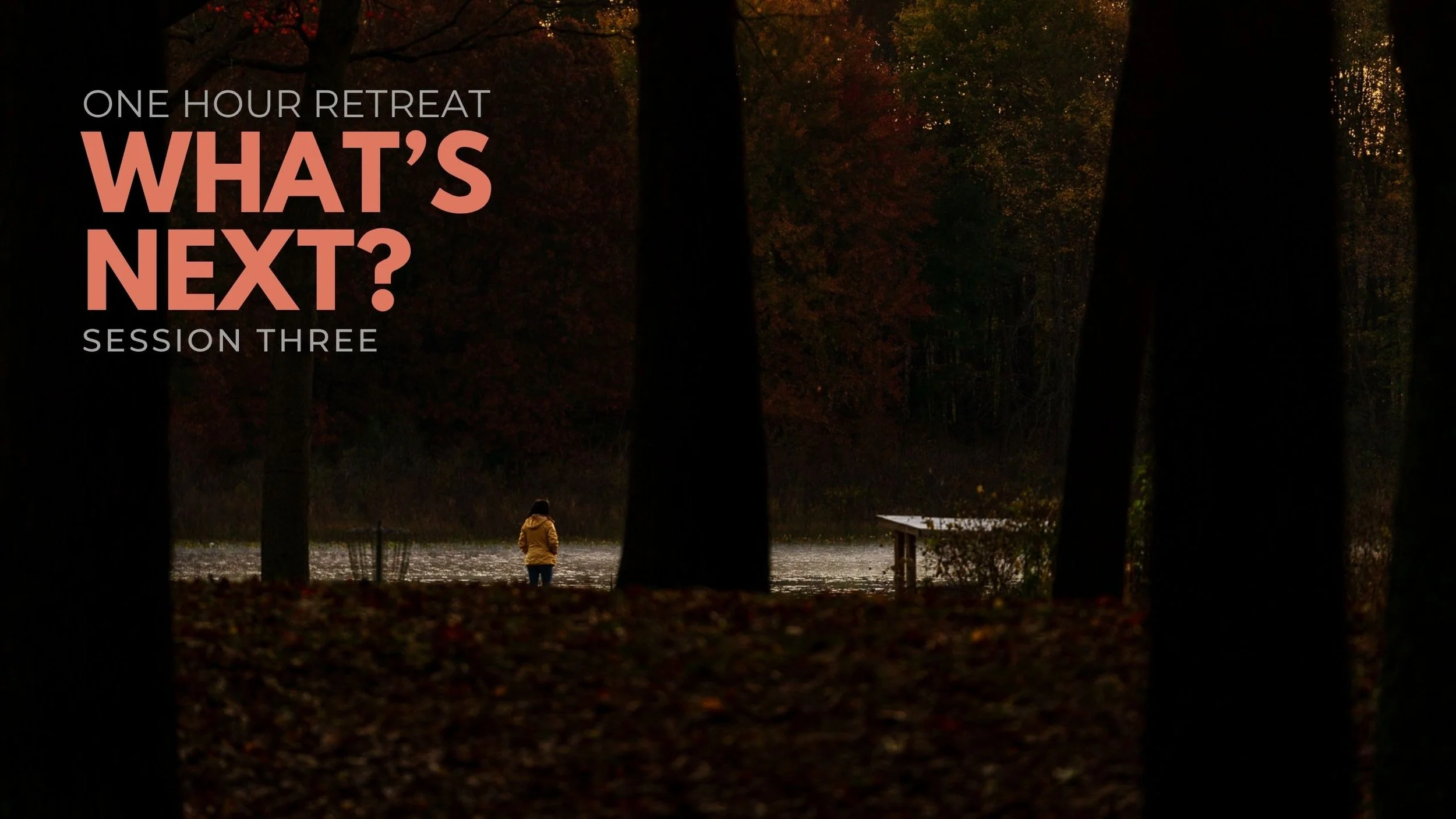 WHAT'S NEXT_ - VIDEO 3.jpg