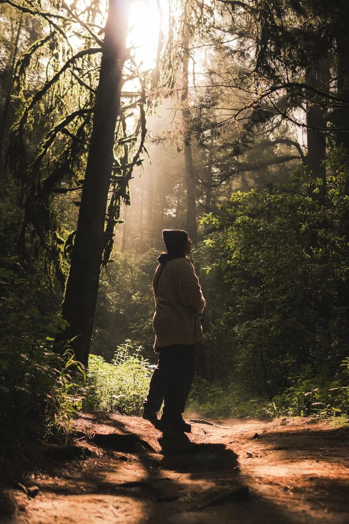 Is It Scrupulosity or Faith? Religious Trauma Therapy in St. Paul, MN, on Religious OCD