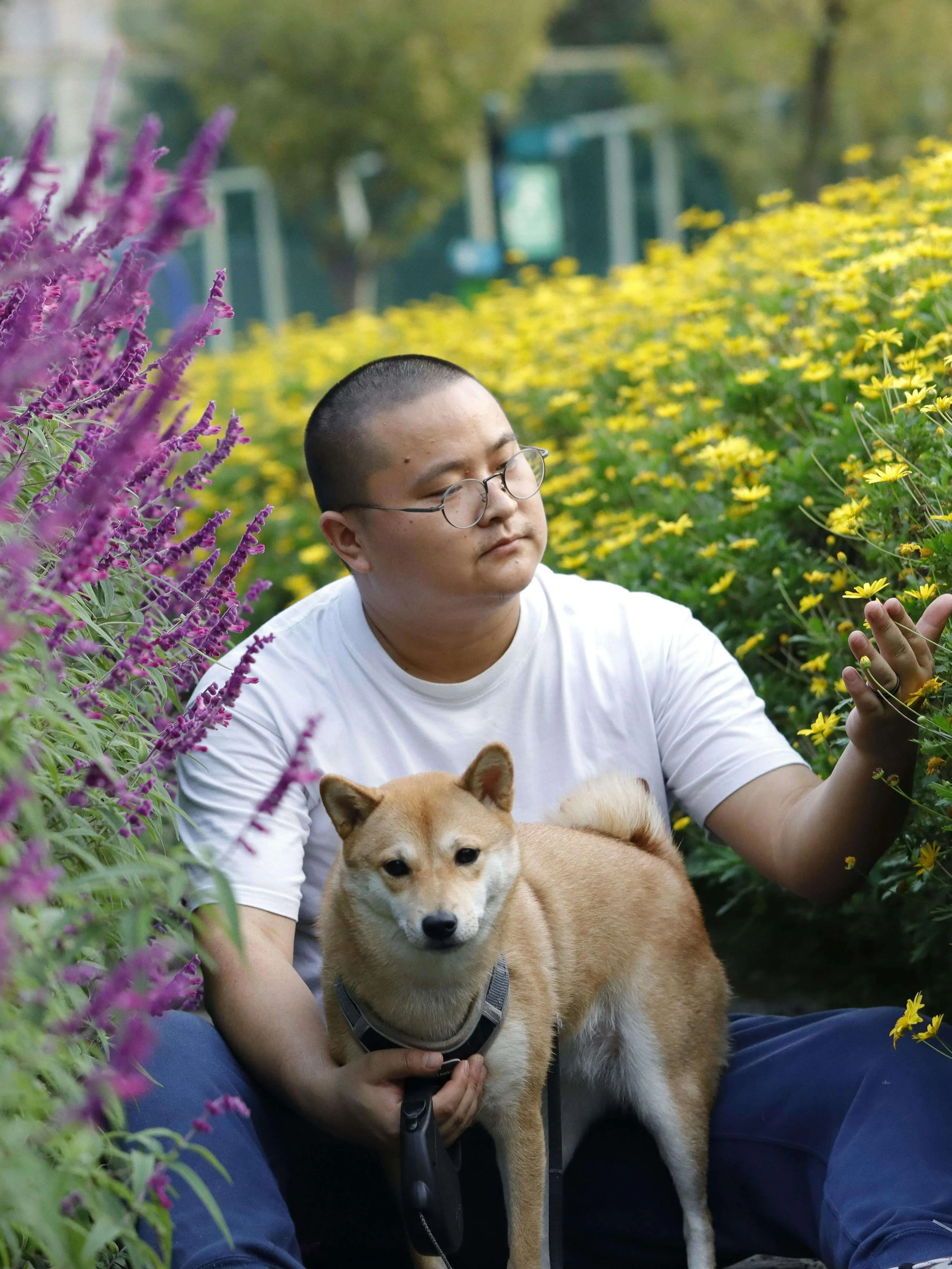 Person sitting peacefully with dog in flower garden, representing moments of self-trust and calm through LGBTQIA therapy in Minneapolis, MN, and somatic therapy for couples St. Paul.